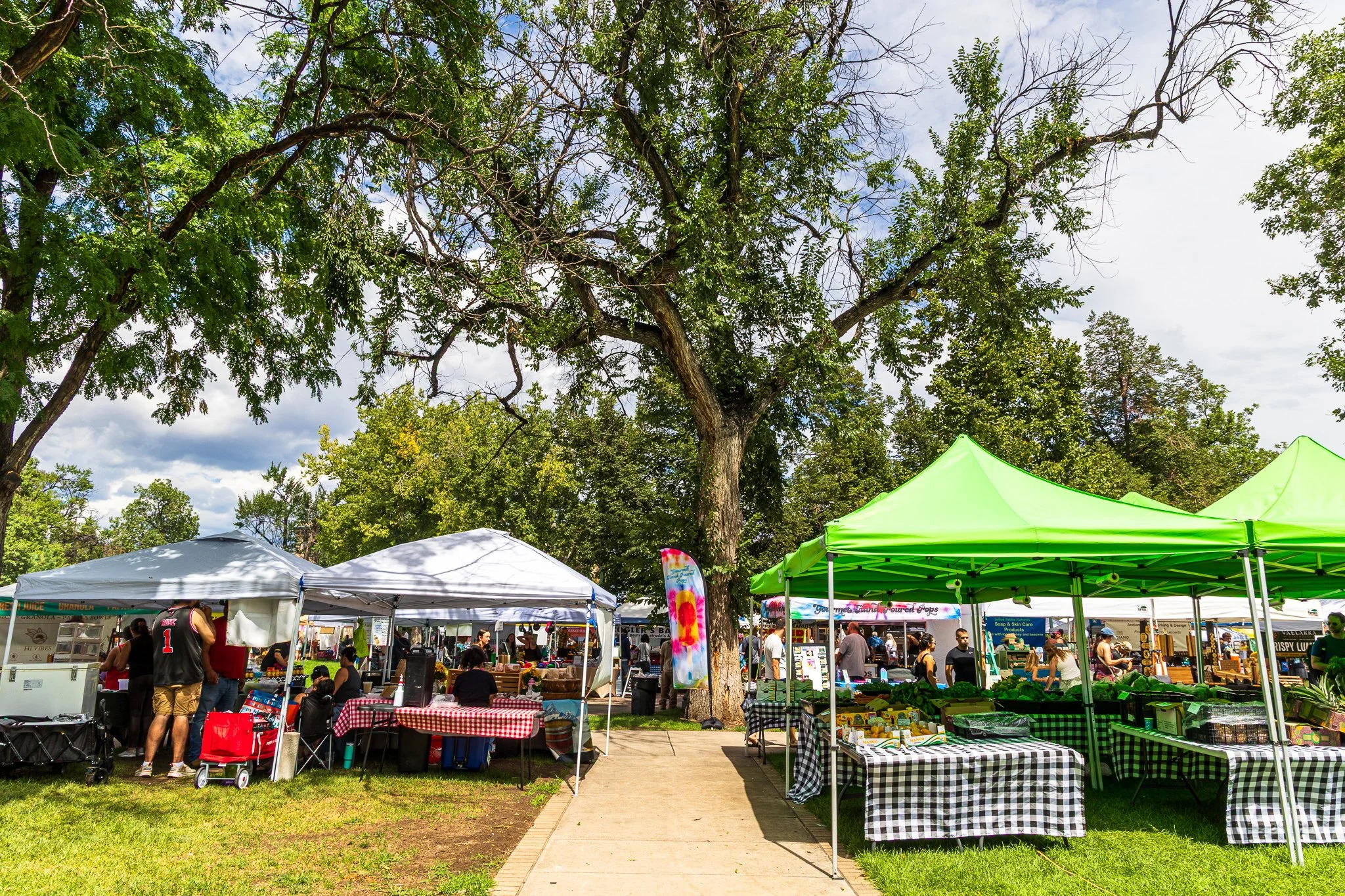 F19A9303_acacia-park.jpg