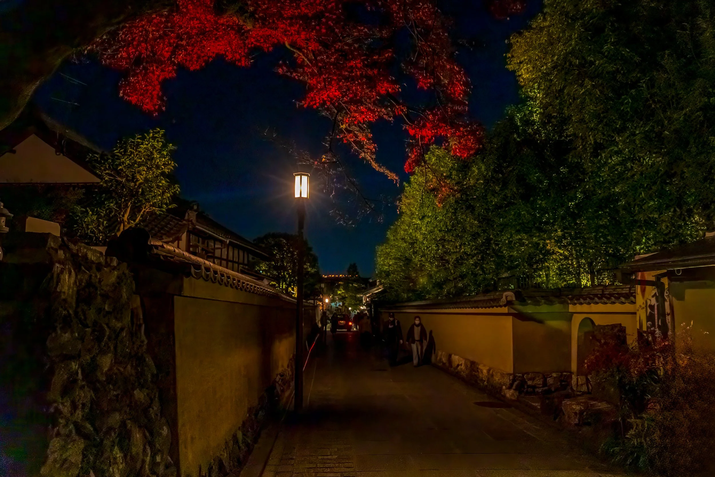 F19A3253_kodai-ji-temple.jpg