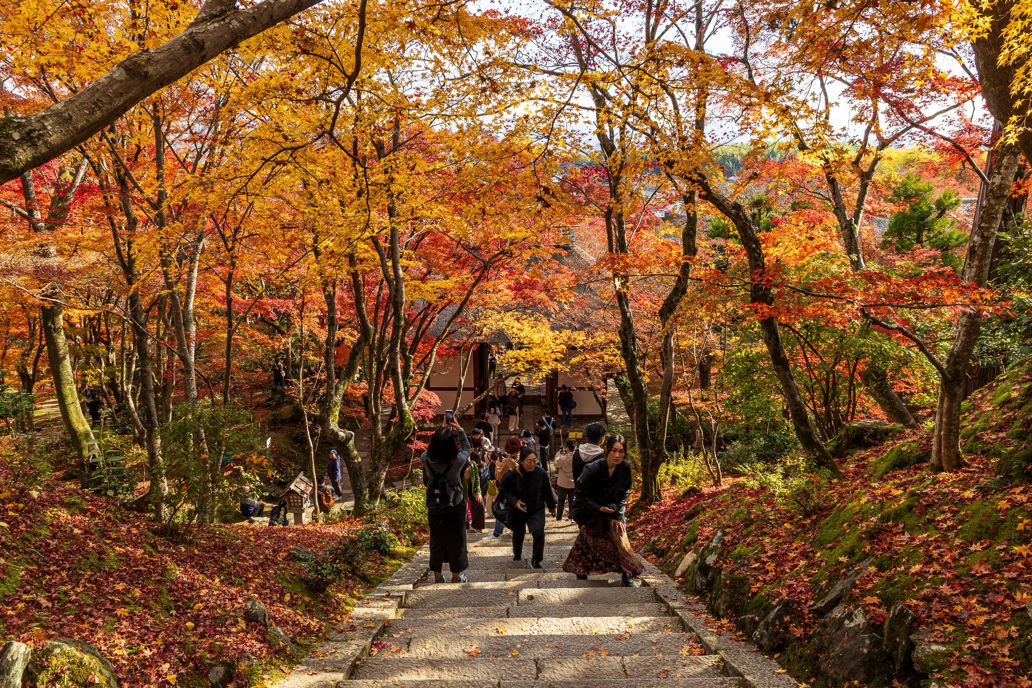 F19A3932_jojakko-ji.jpg
