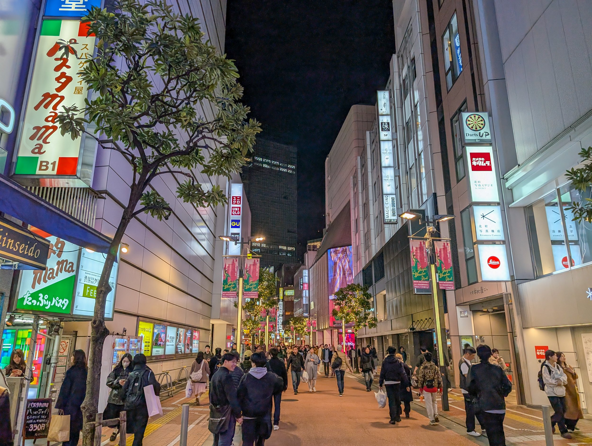 PXL_20251123_111809779_shinjuku.jpg
