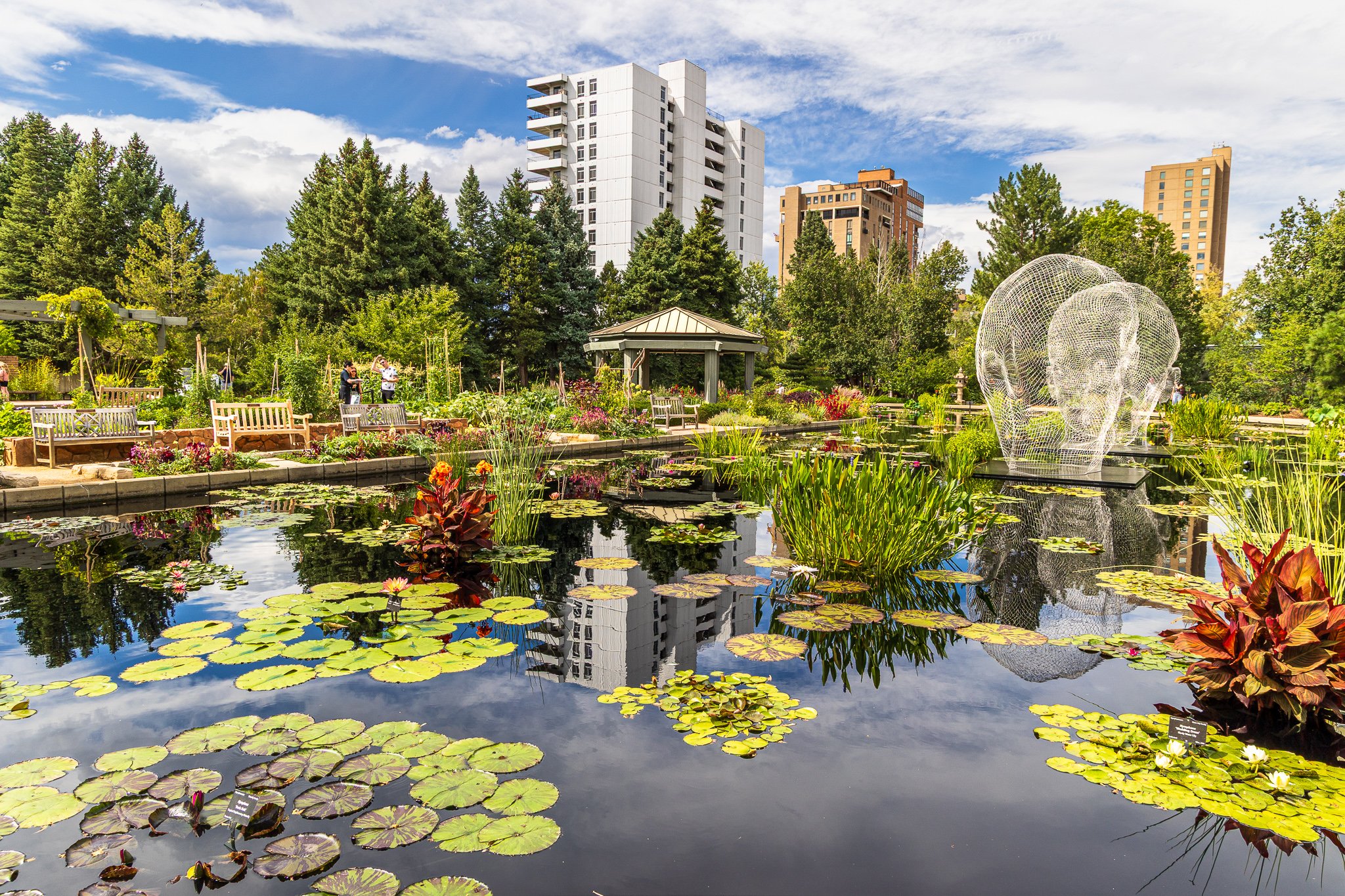 F19A9949_denver-botanic-gardens.jpg