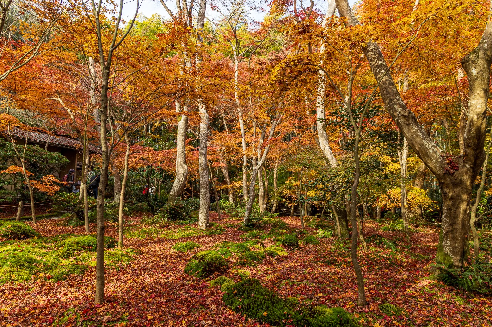 F19A4047_gio-ji-temple.jpg