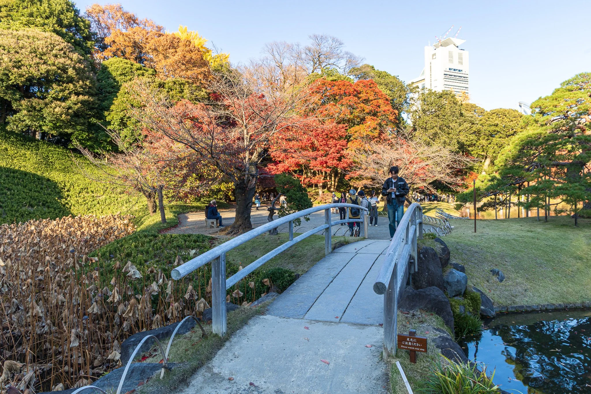F19A1984_koishikawa-korakuen-gardens.jpg