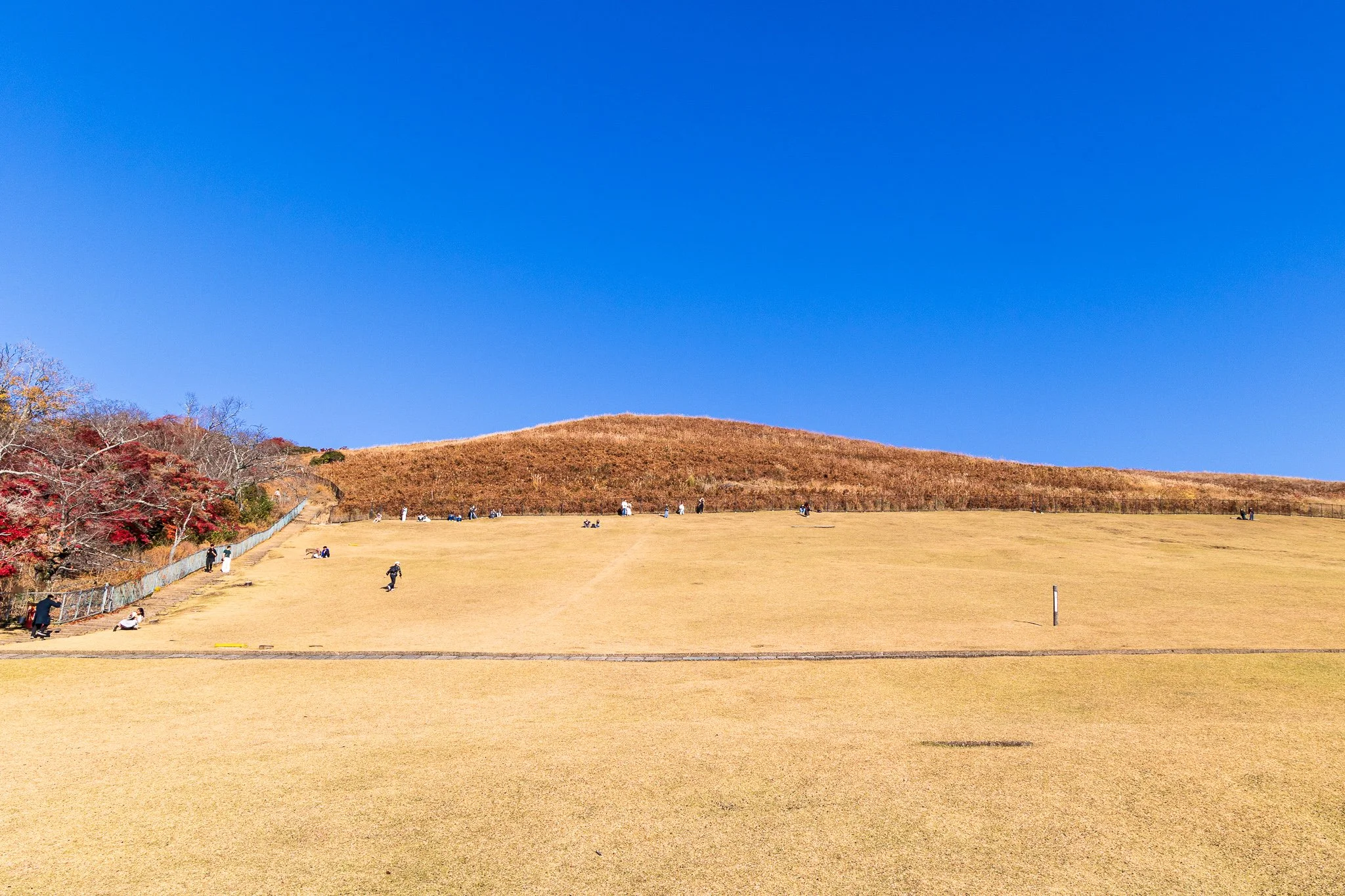 F19A3643_mount-wakakusa.jpg