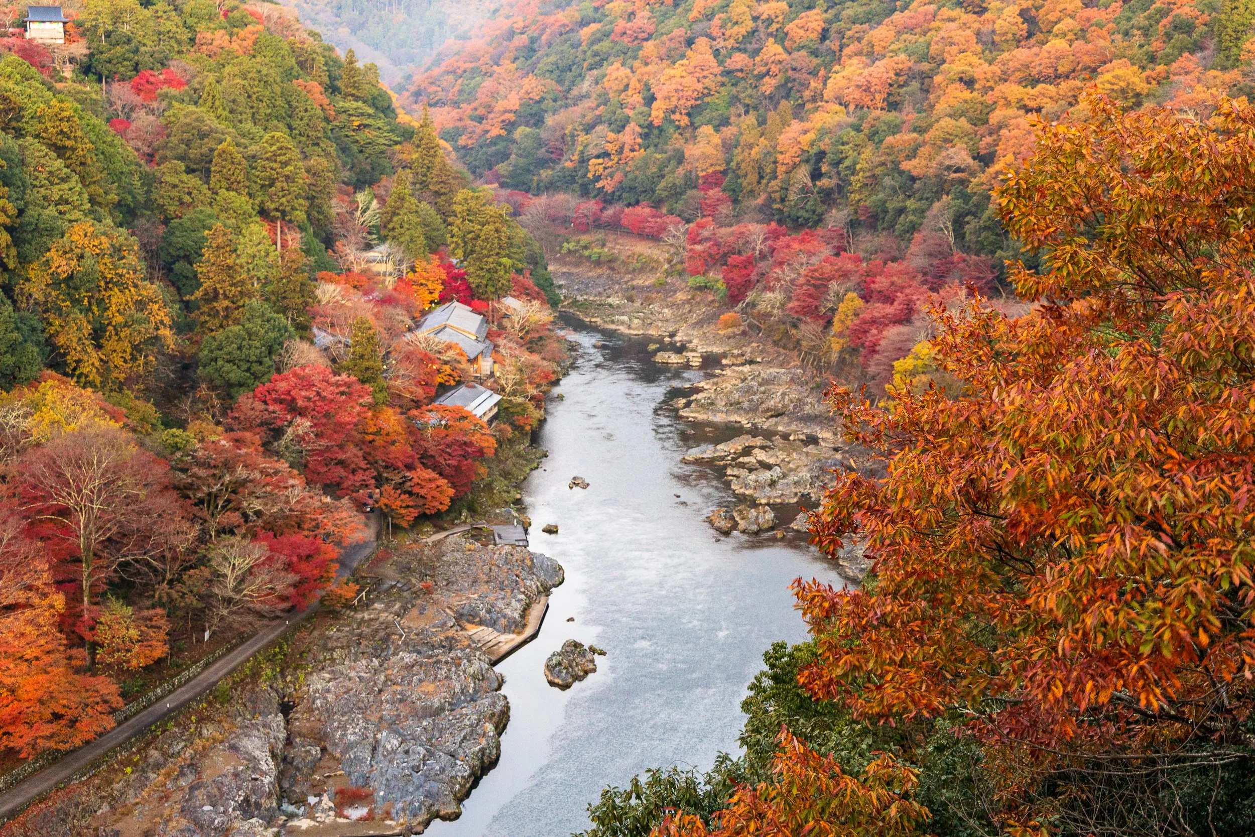F19A3778_arashiyama-park-viewpoint.jpg