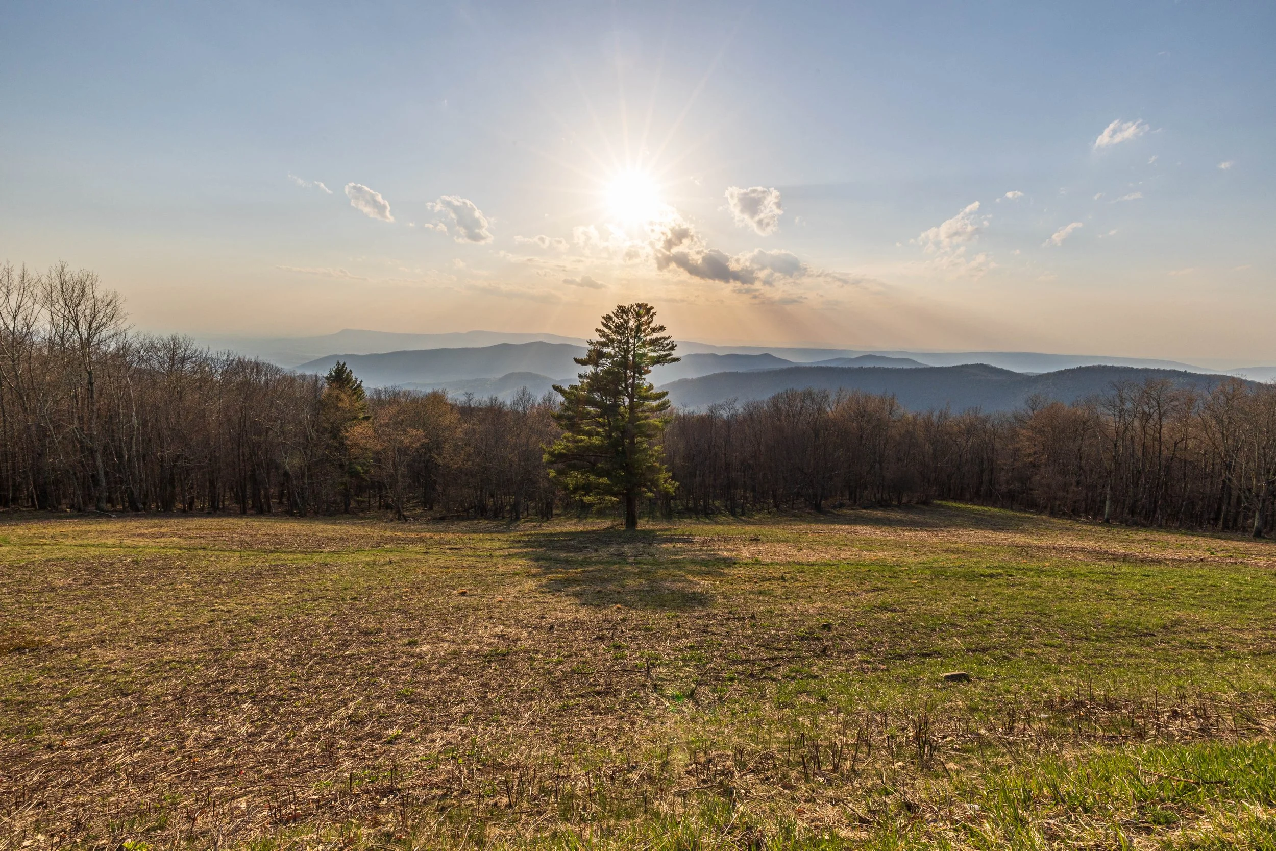F19A9529_hazel-top-ridge-overlook.jpg