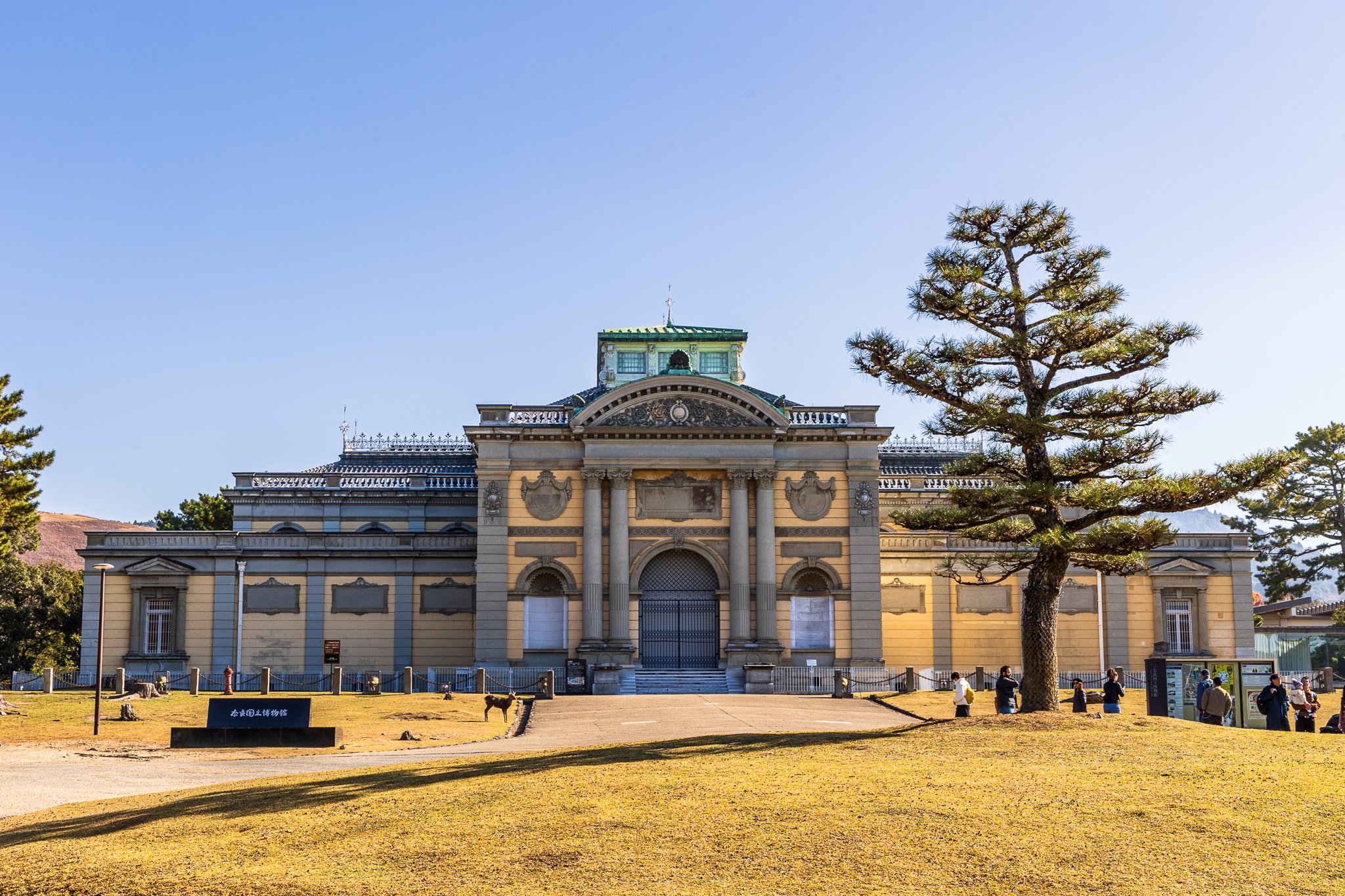 F19A3457_nara-park.jpg