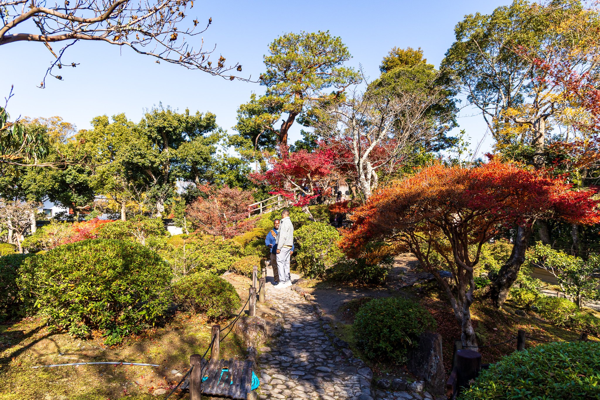 F19A3485_yoshikien-garden.jpg