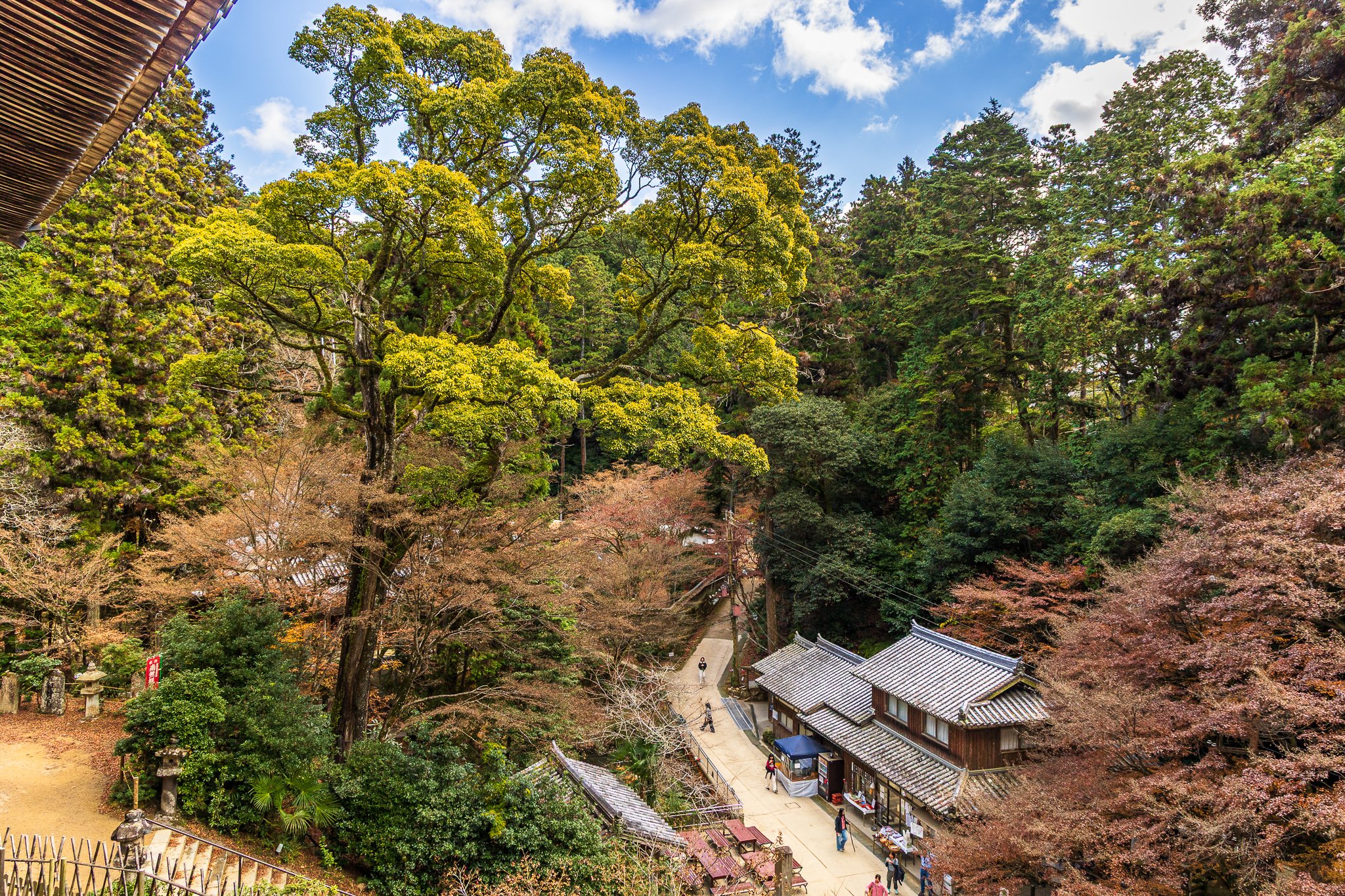 F19A5126_mount-shosha.jpg