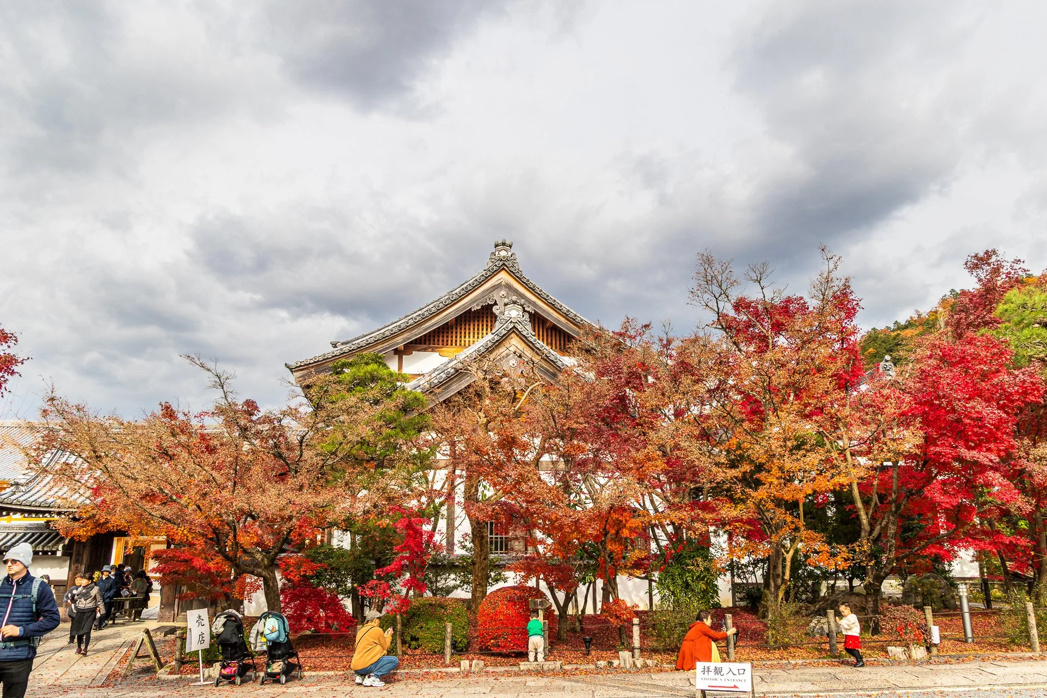 F19A4876_eikan-do.jpg