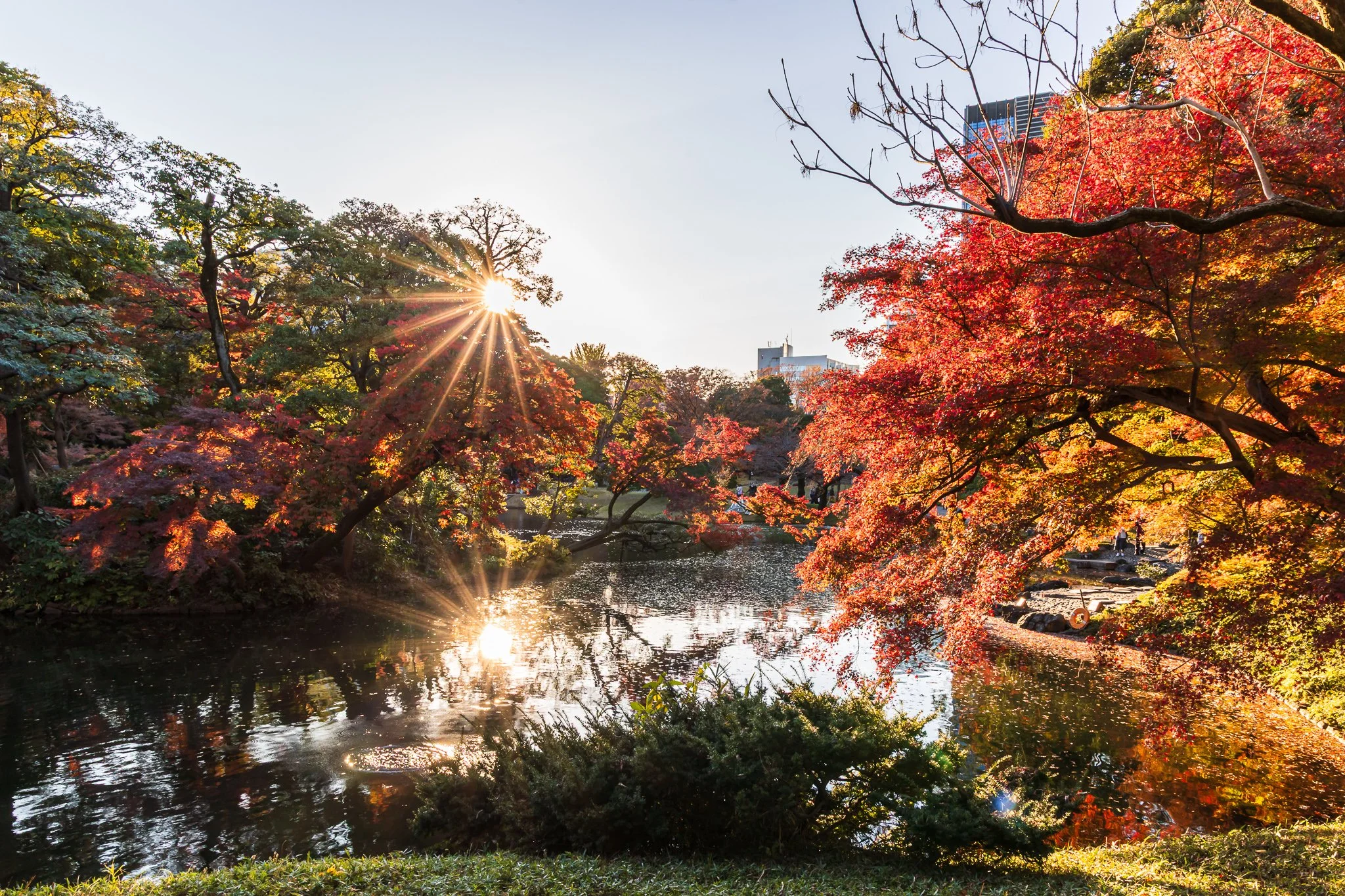 F19A2041_koishikawa-korakuen-gardens.jpg
