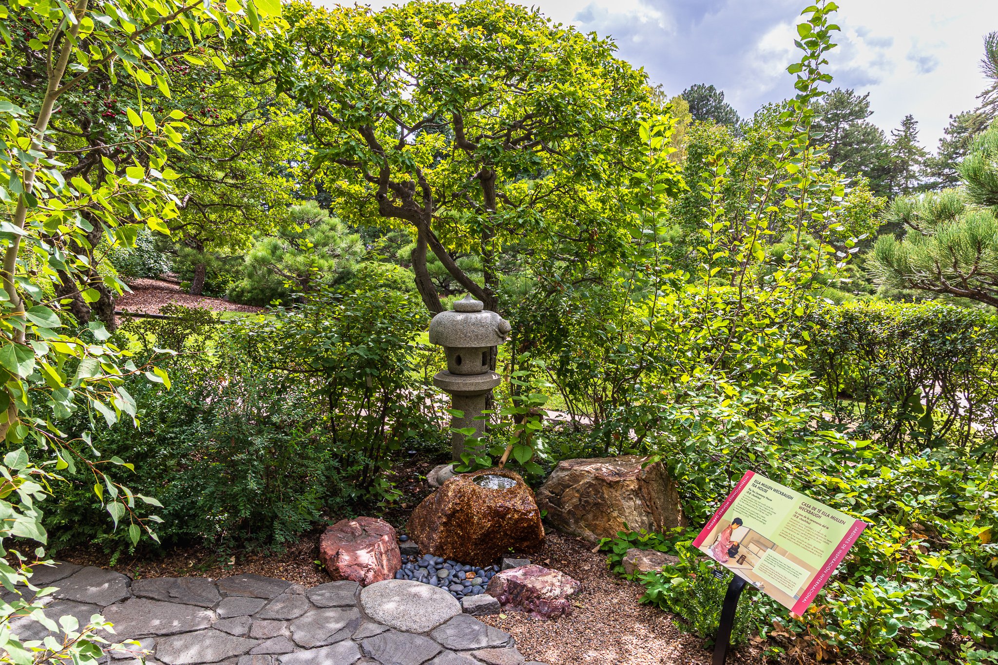 F19A9961_denver-botanic-gardens.jpg