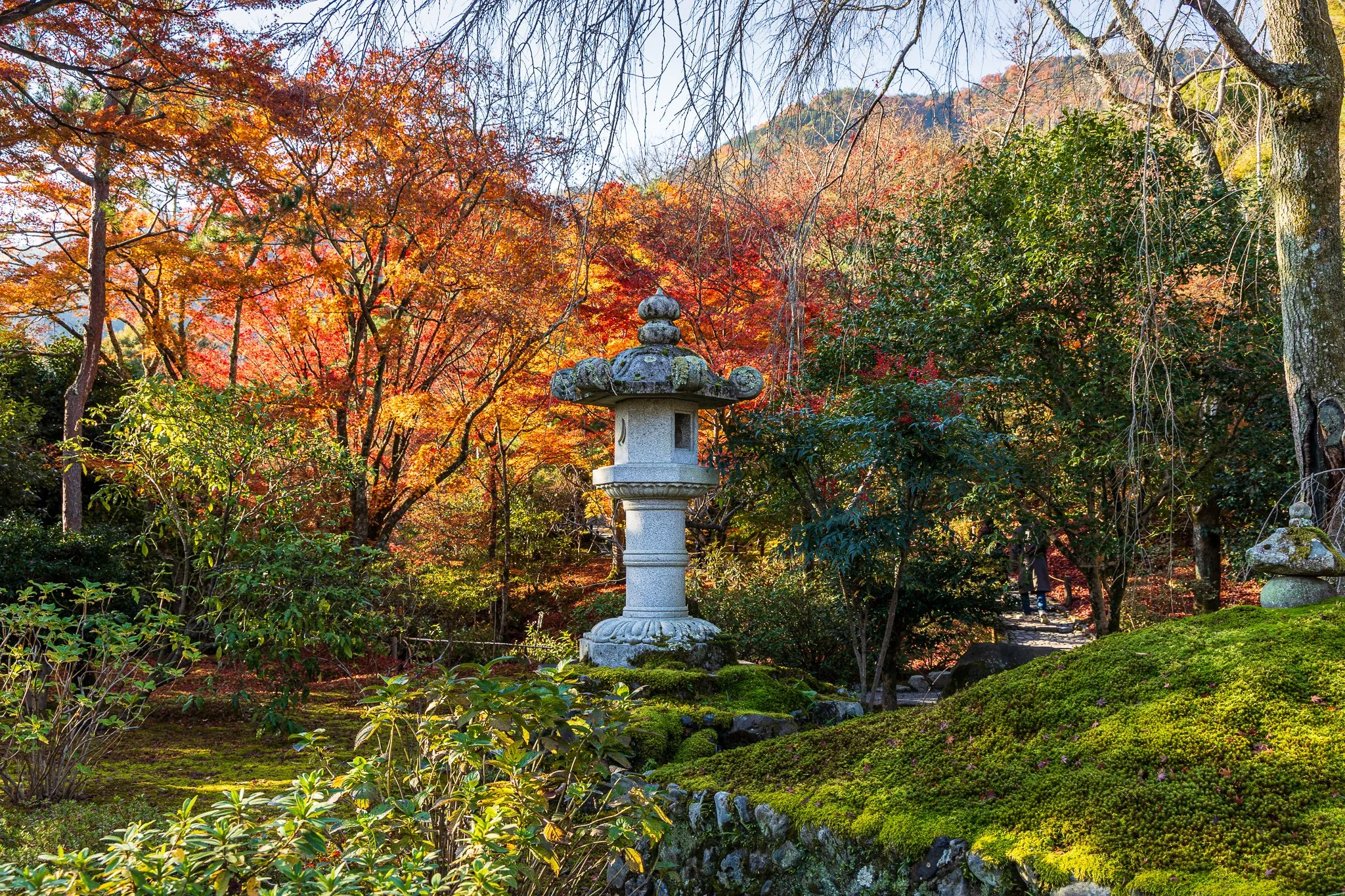 F19A3852_tenryu-ji.jpg