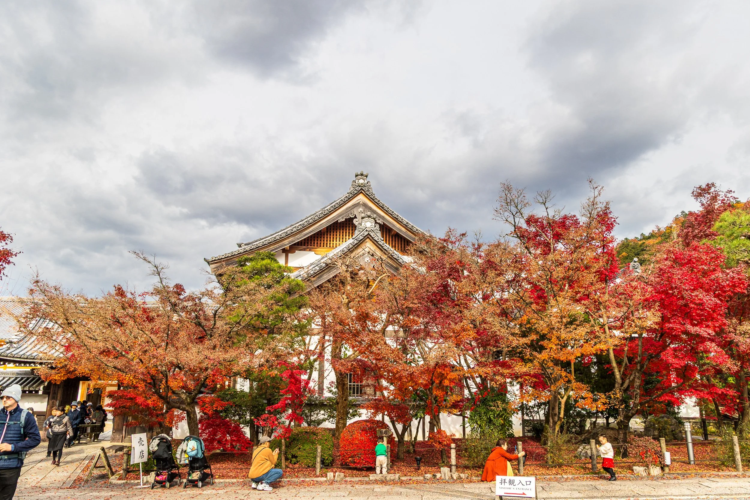 F19A4876_eikando.jpg