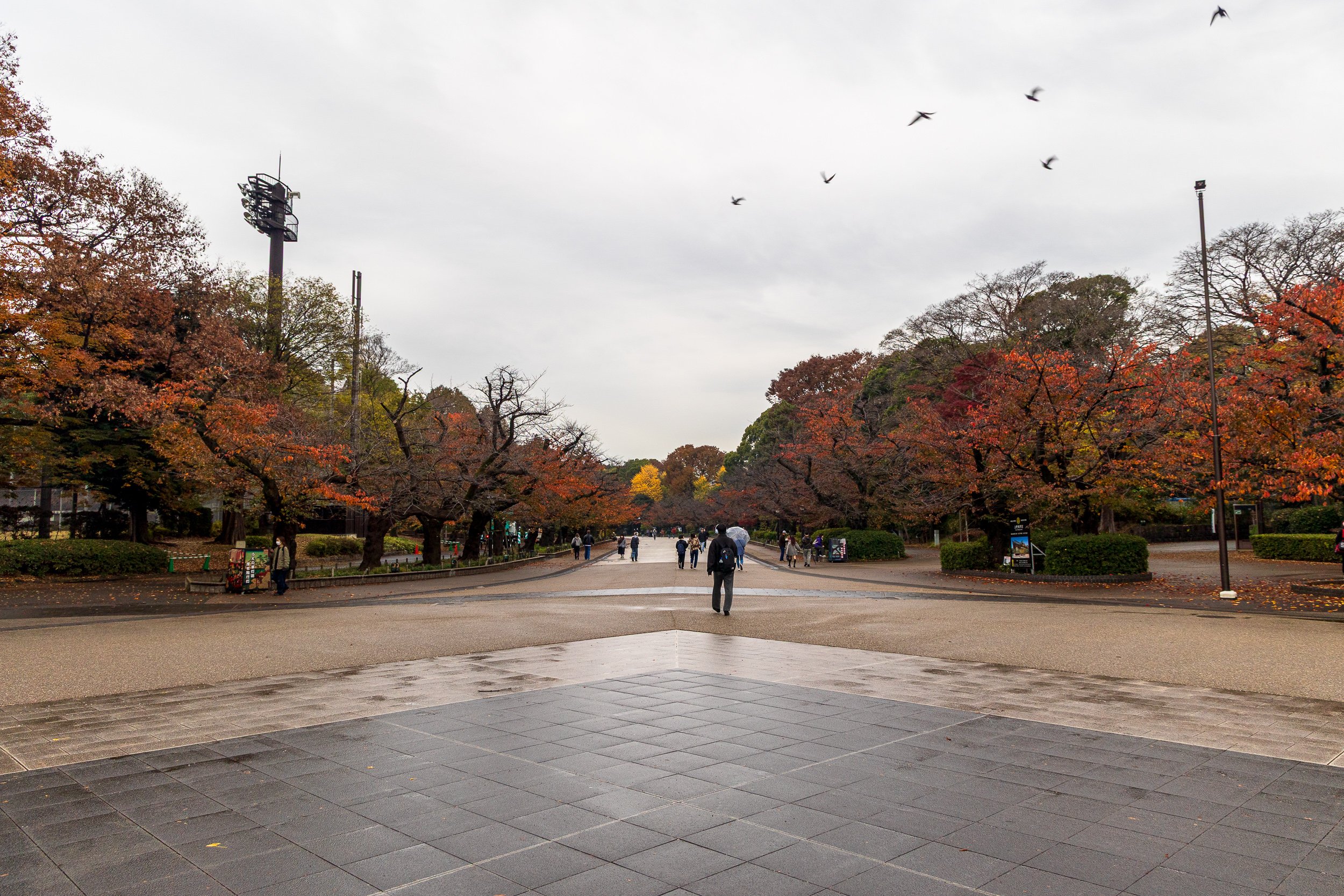 F19A1277_ueno-park.jpg
