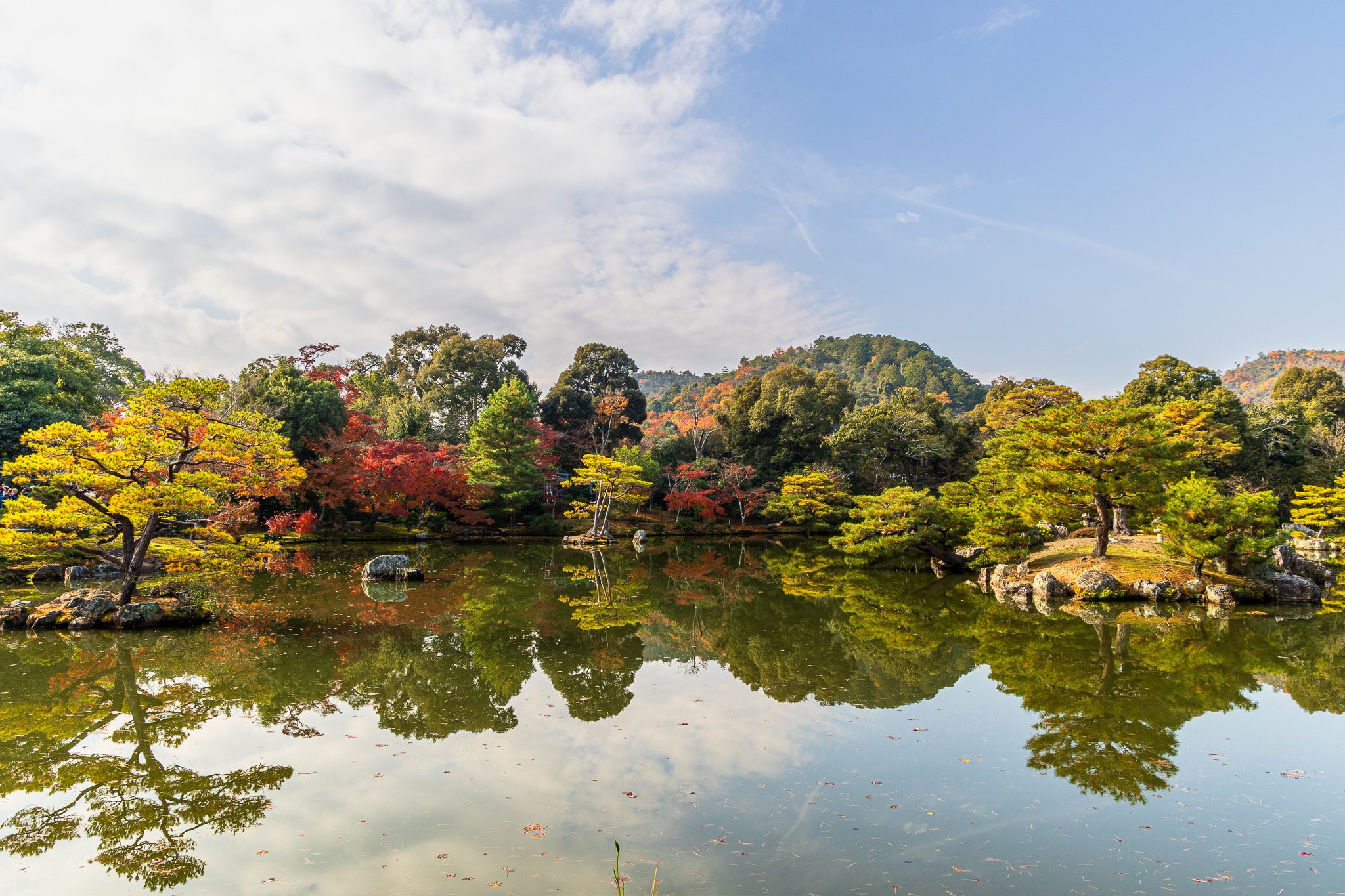 F19A4410_kinkaku-ji.jpg