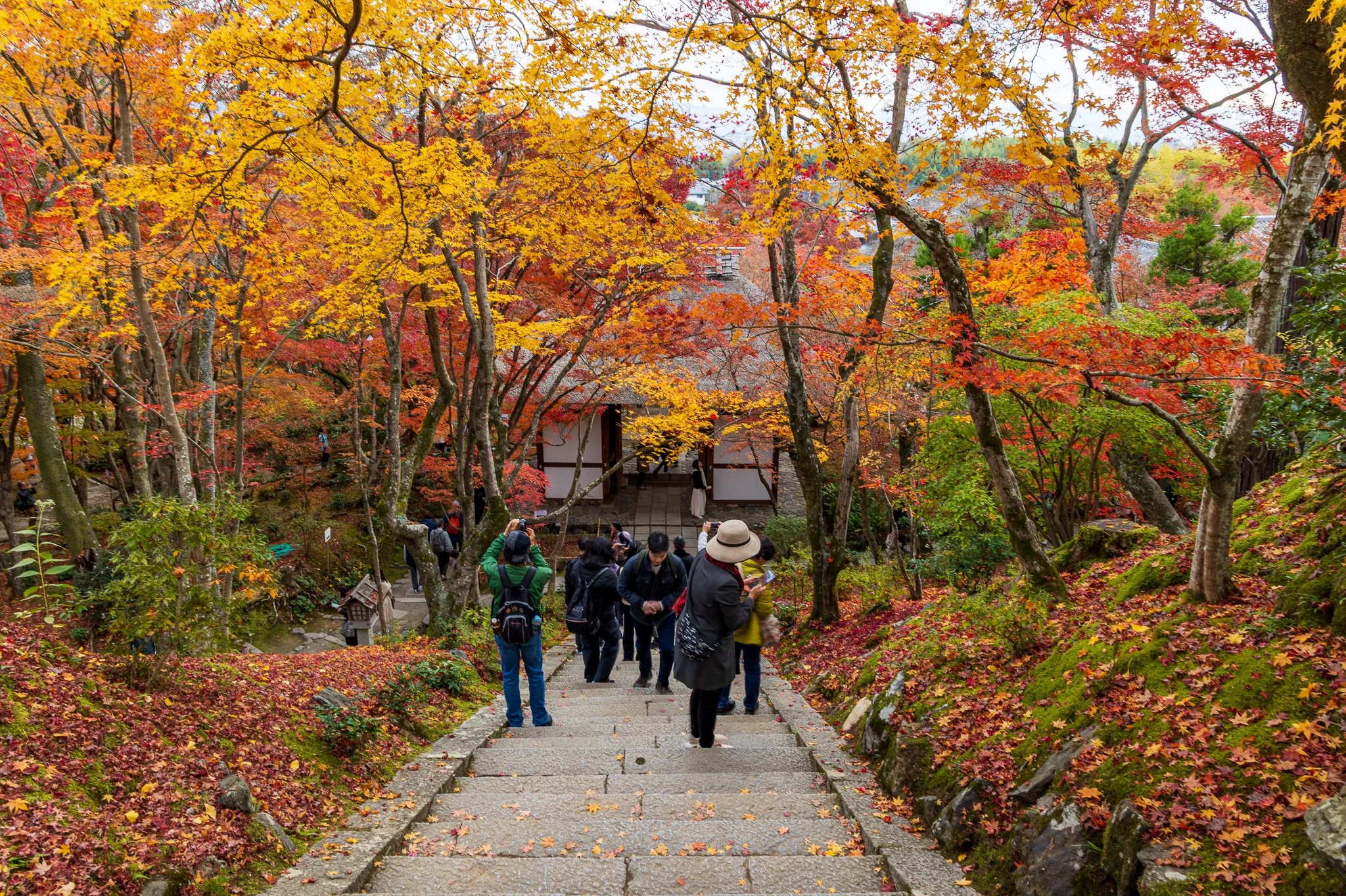 F19A3971_jojakko-ji.jpg
