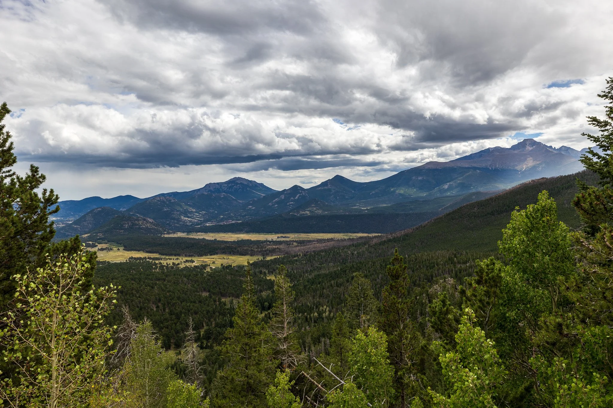 Many Parks Curve