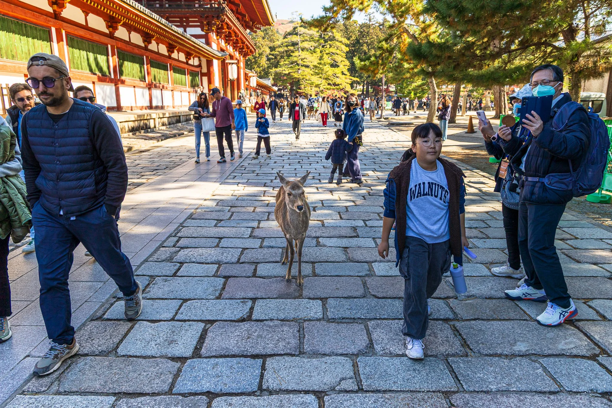 F19A3526_nara-park.jpg