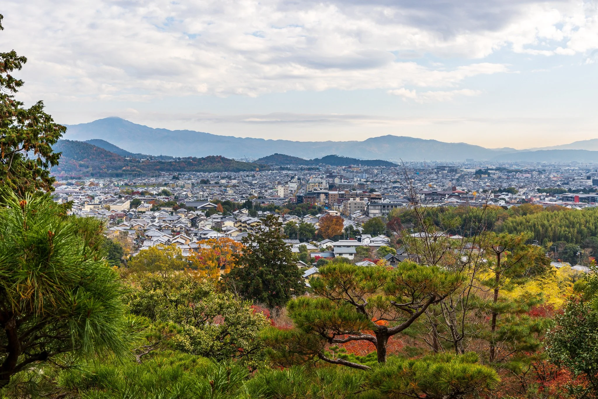 F19A3954_jojakko-ji.jpg