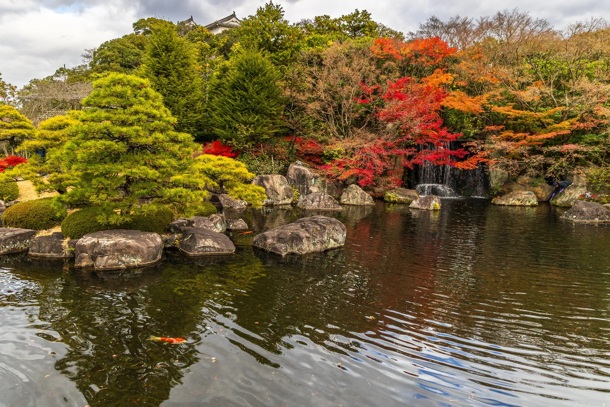 F19A5194_kokoen-garden.jpg
