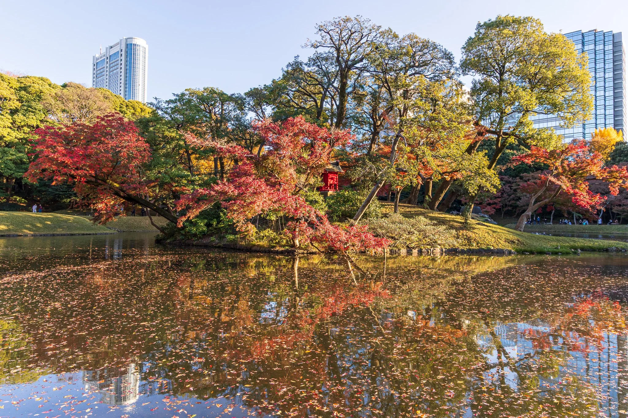 F19A1996_koishikawa-korakuen-gardens.jpg