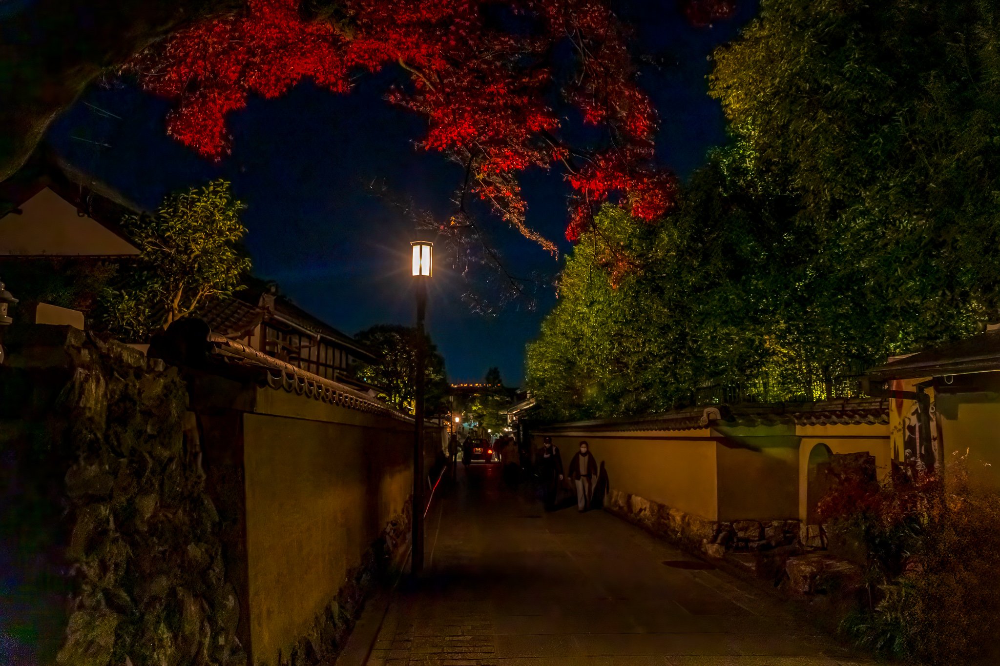 F19A3253_kodai-ji.jpg
