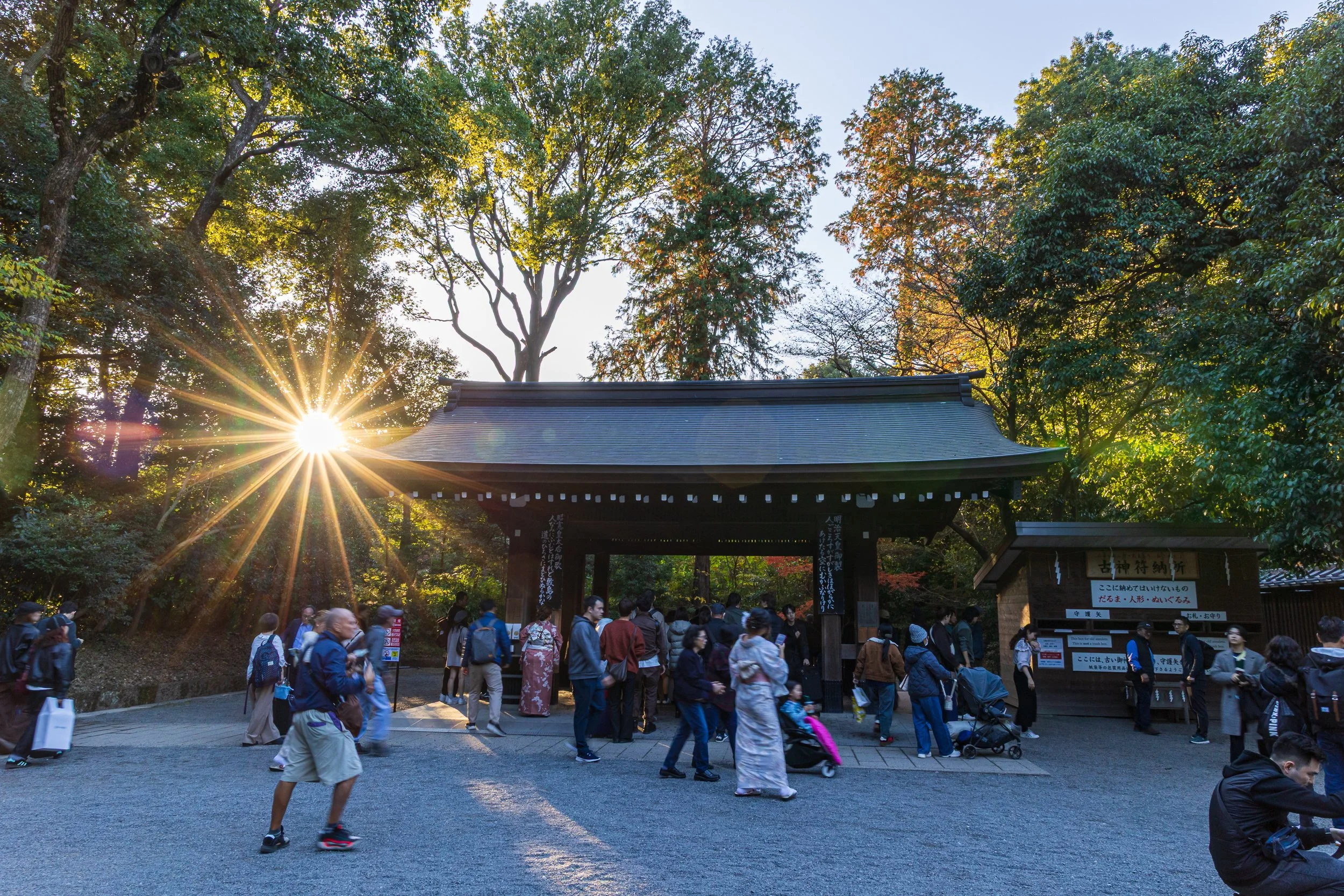 F19A0866_meiji-jingu.jpg