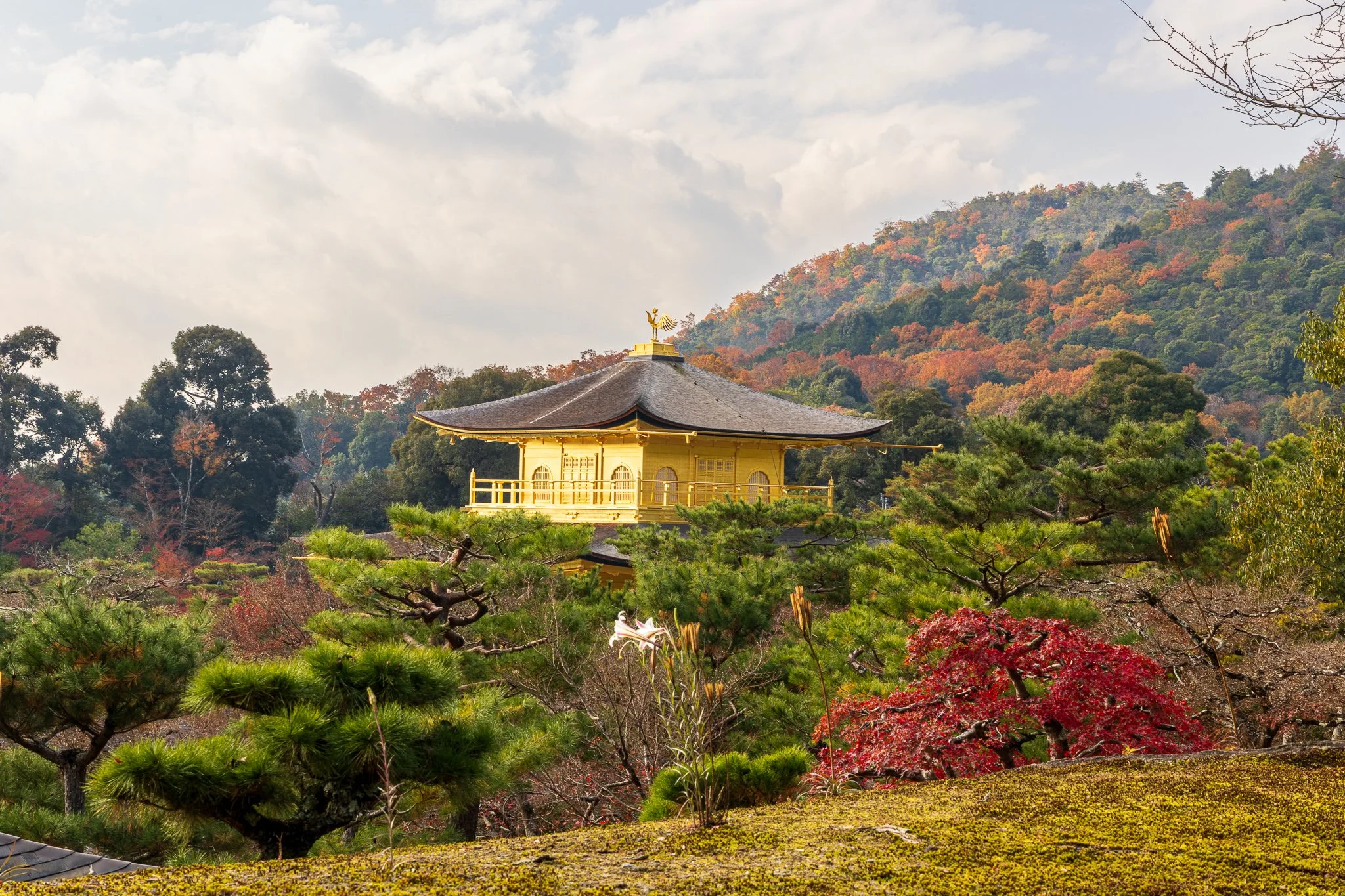 F19A4429_kinkaku-ji.jpg