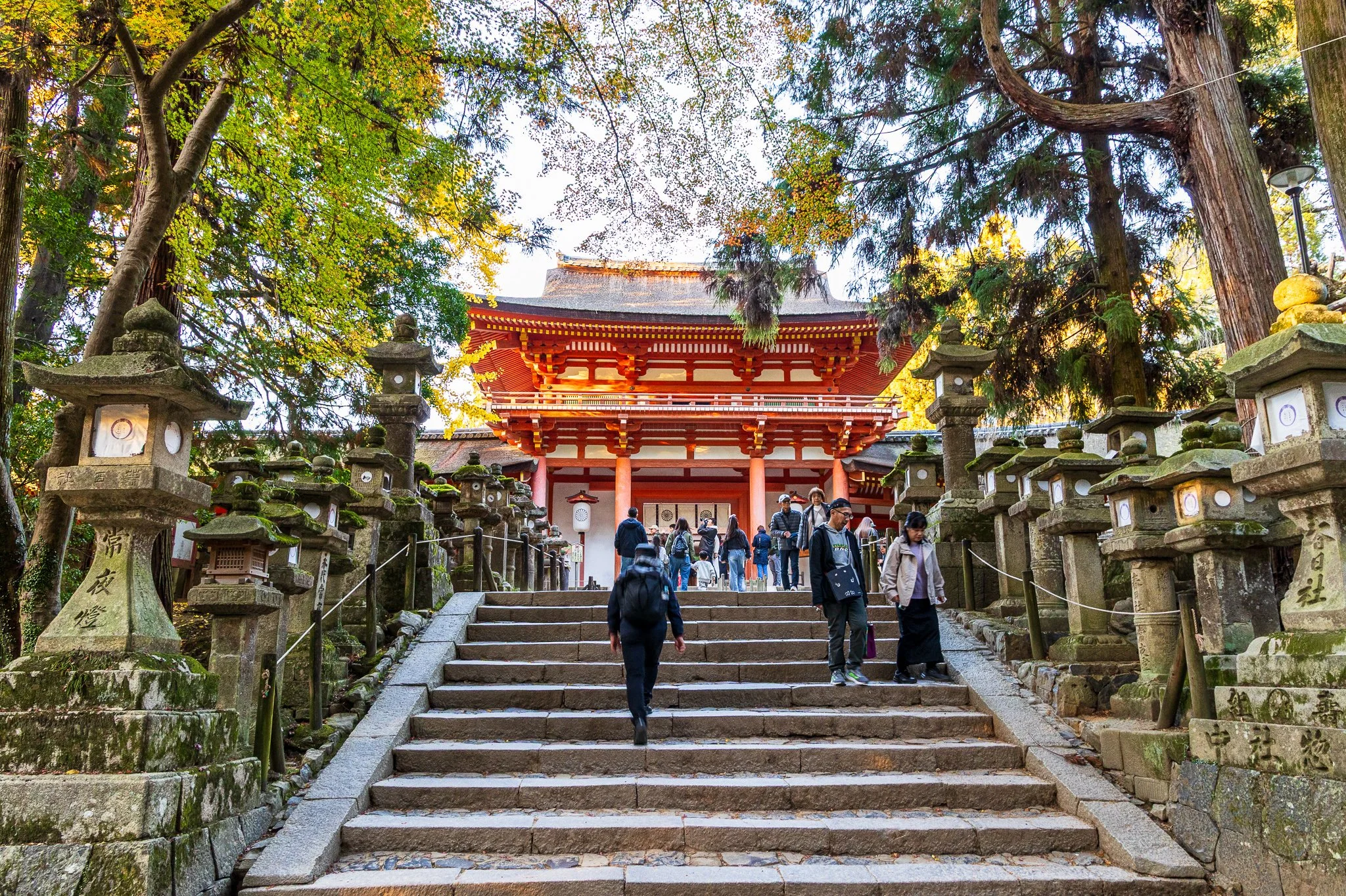 F19A3749_kasuga-taisha.jpg
