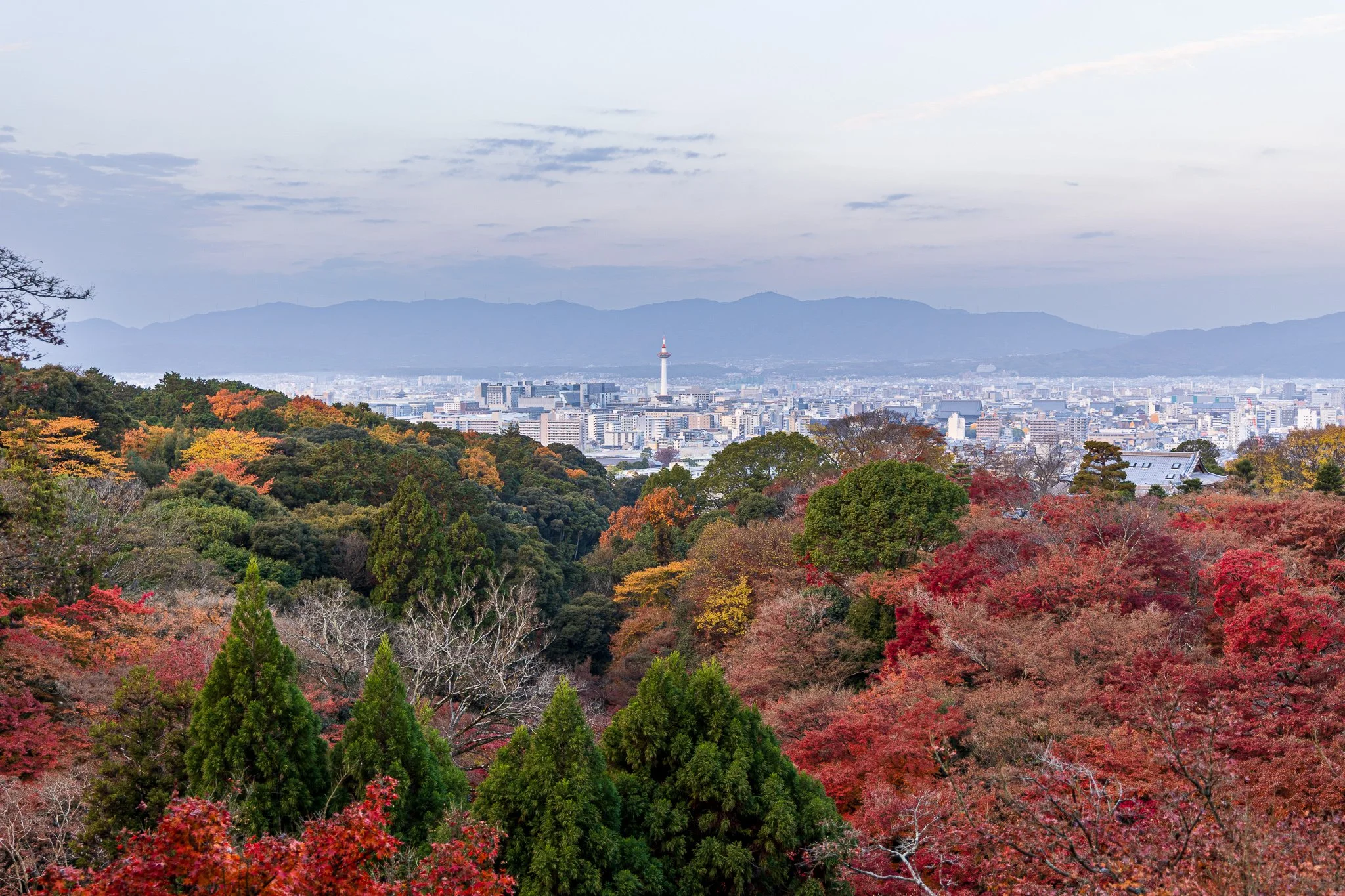 F19A4650_kiyomizu-dera.jpg