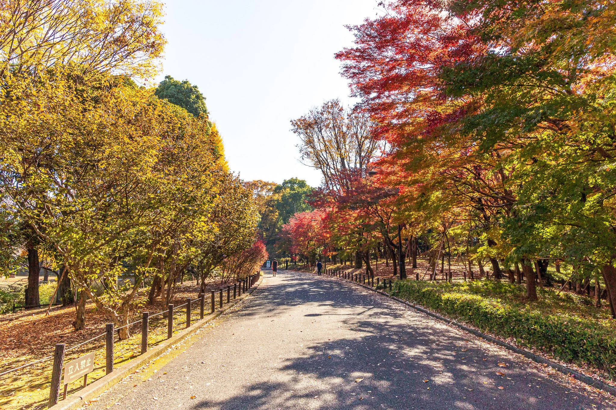 F19A1855_kitanomaru-park.jpg