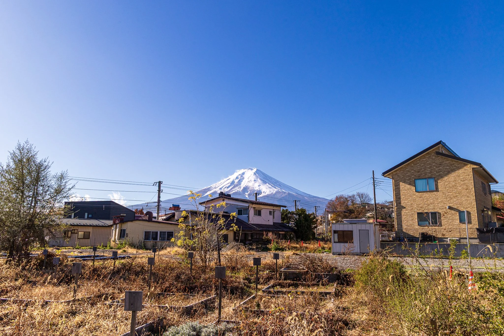 F19A2559_the-walk-to-chureito-pagoda.jpg