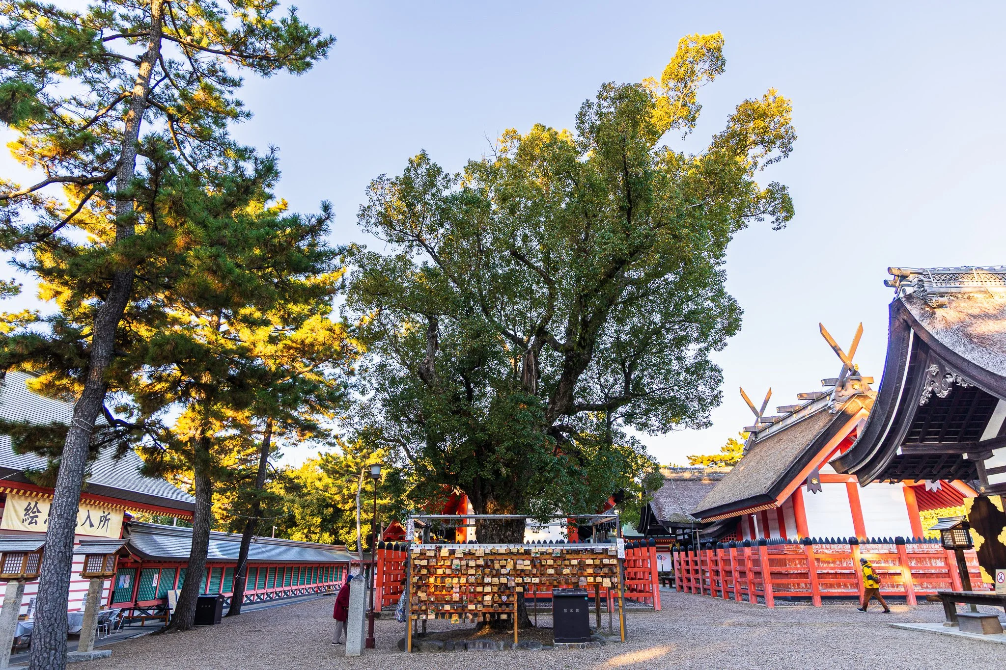 F19A5617_sumiyoshi-taisha.jpg