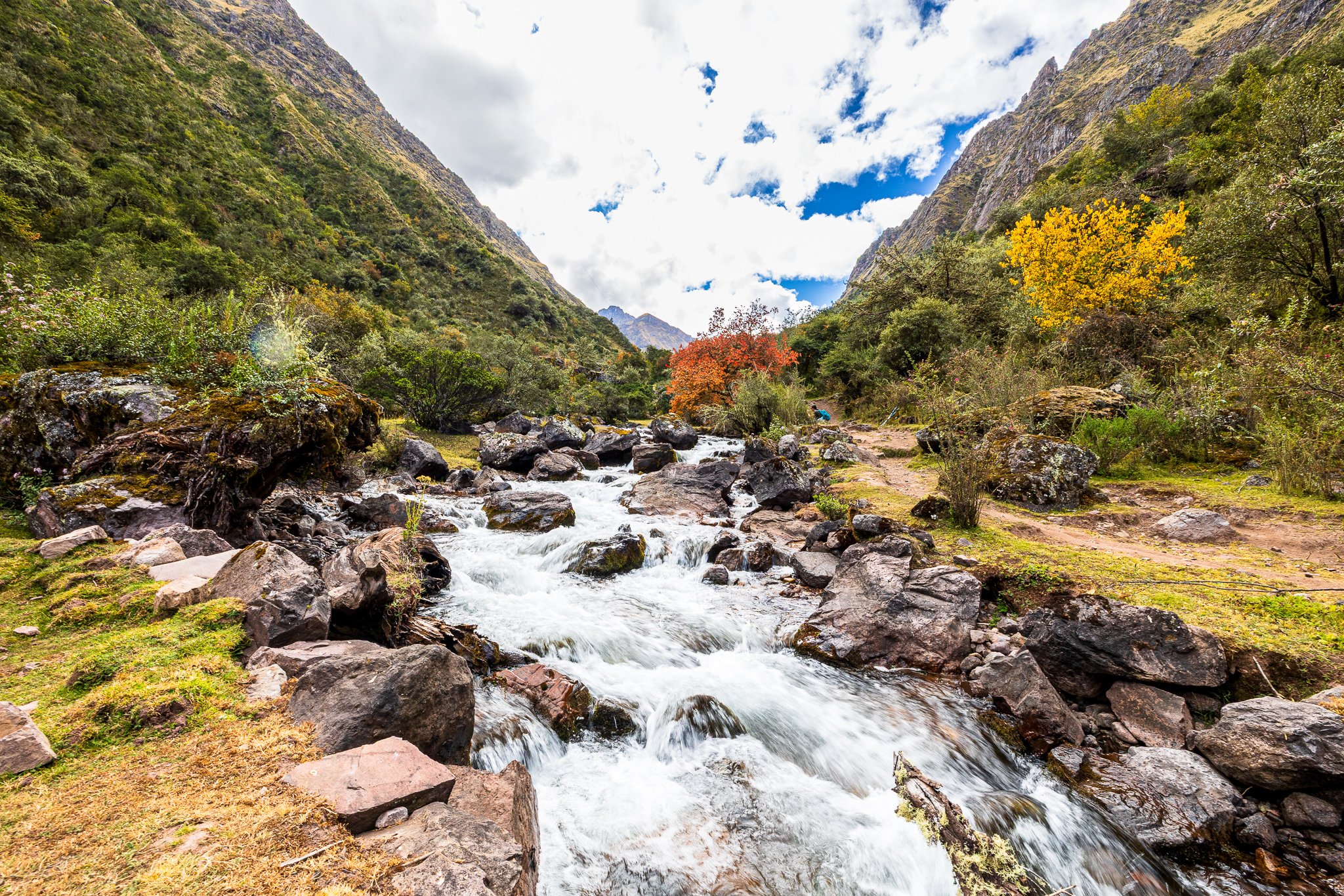 F19A1778-Edit.jpg