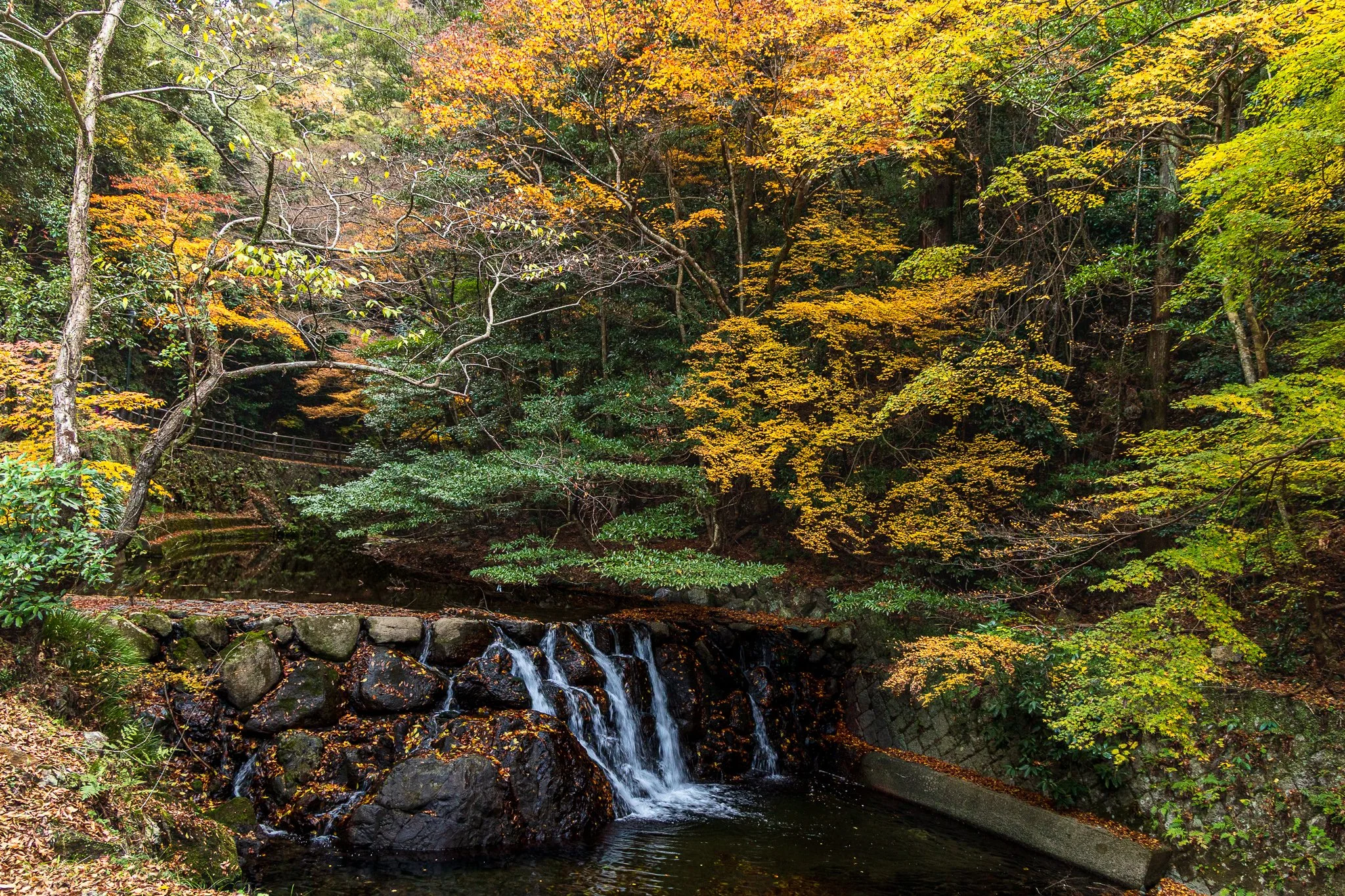 F19A5344_minoh-falls.jpg