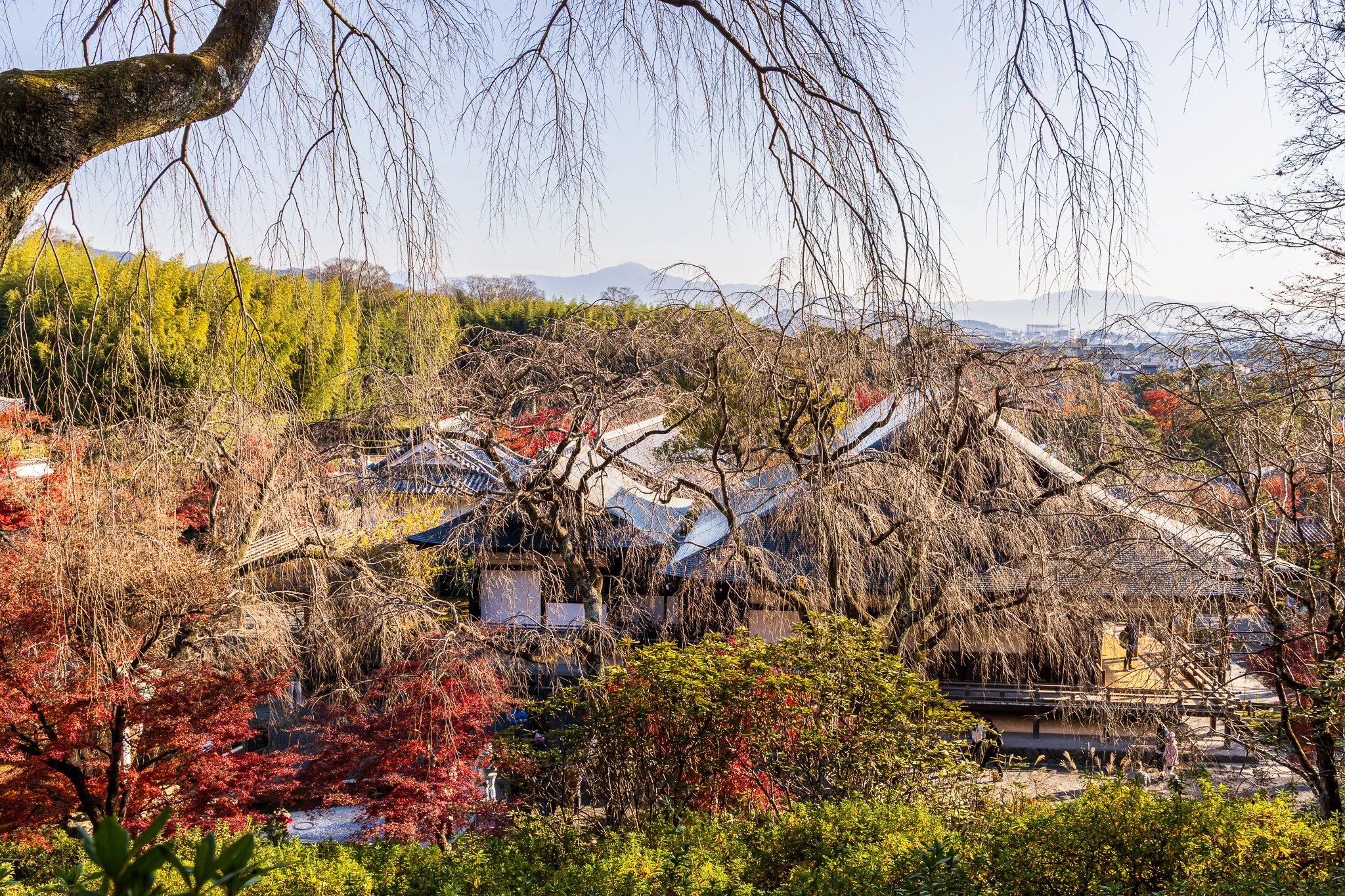 F19A3883_tenryu-ji.jpg