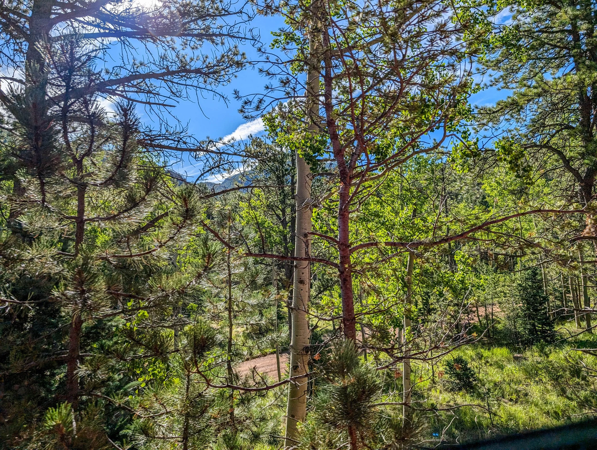 PXL_20240817_150158103_the-broadmoor-manitou-and-pikes-peak-cog-railway.jpg