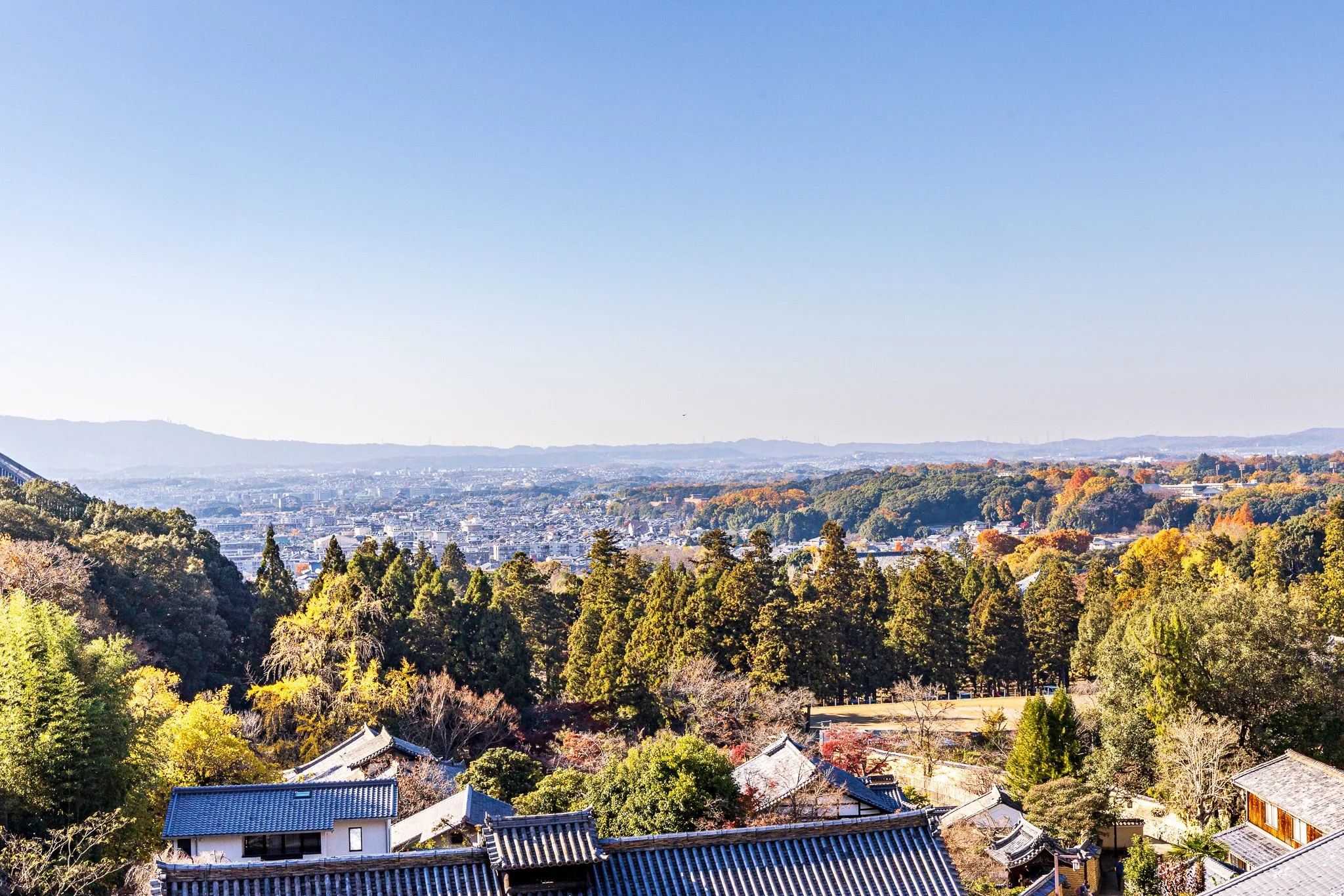 F19A3615_todai-ji-nigatsu-do.jpg