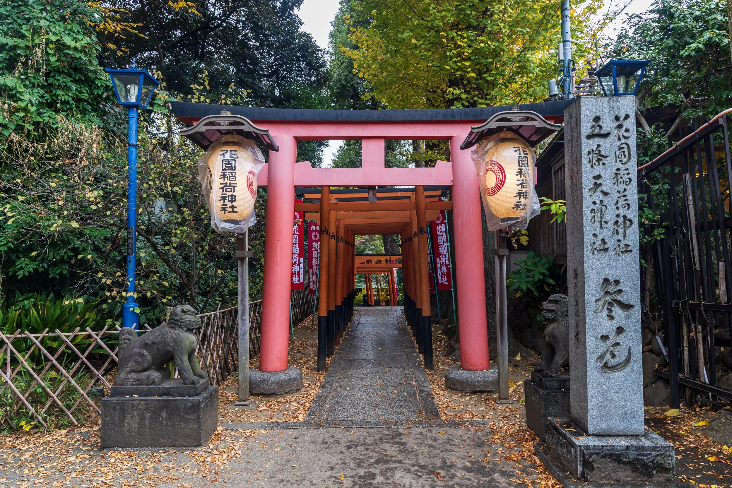 F19A1198_ueno-park.jpg