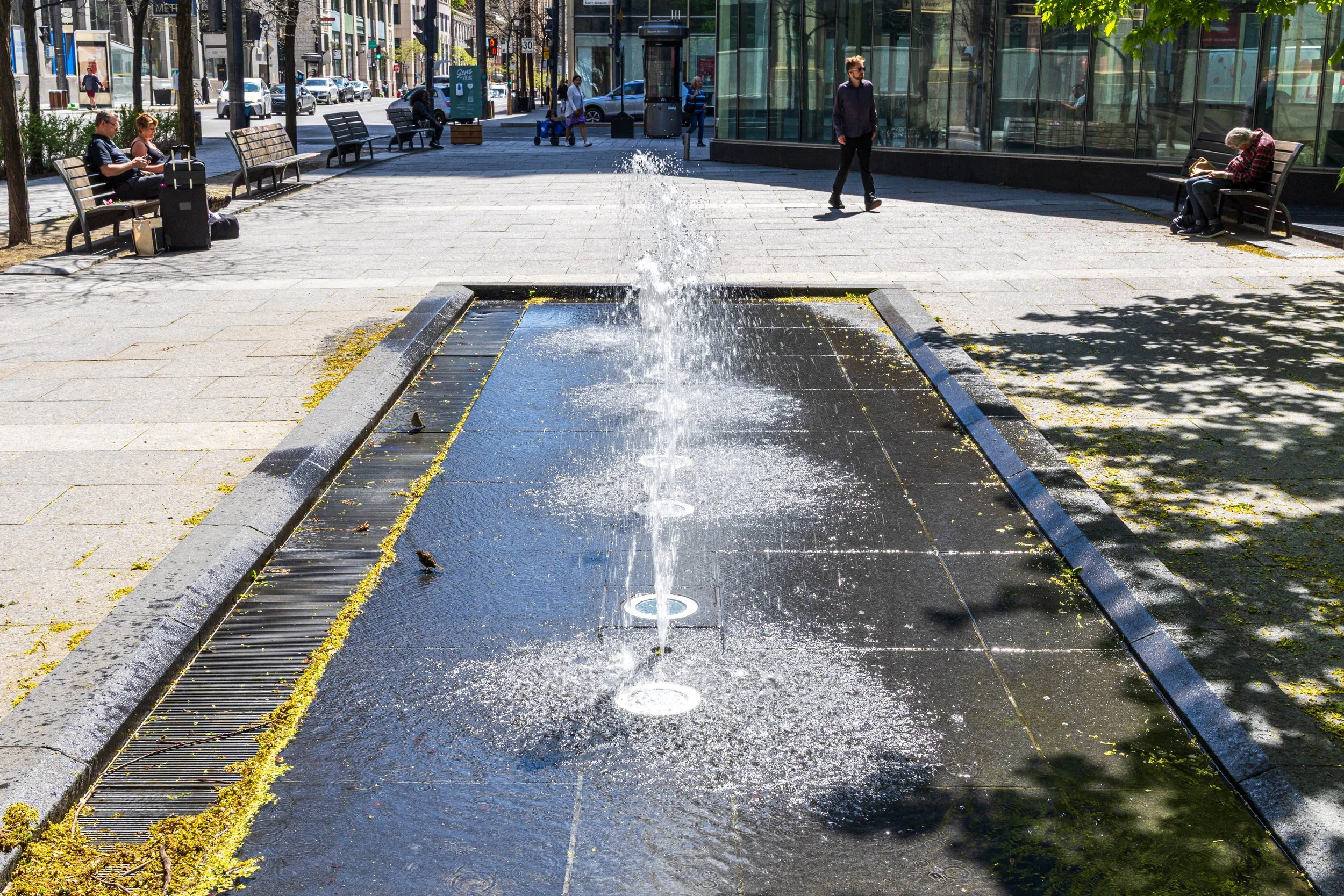 F19A1779_victoria-square.jpg