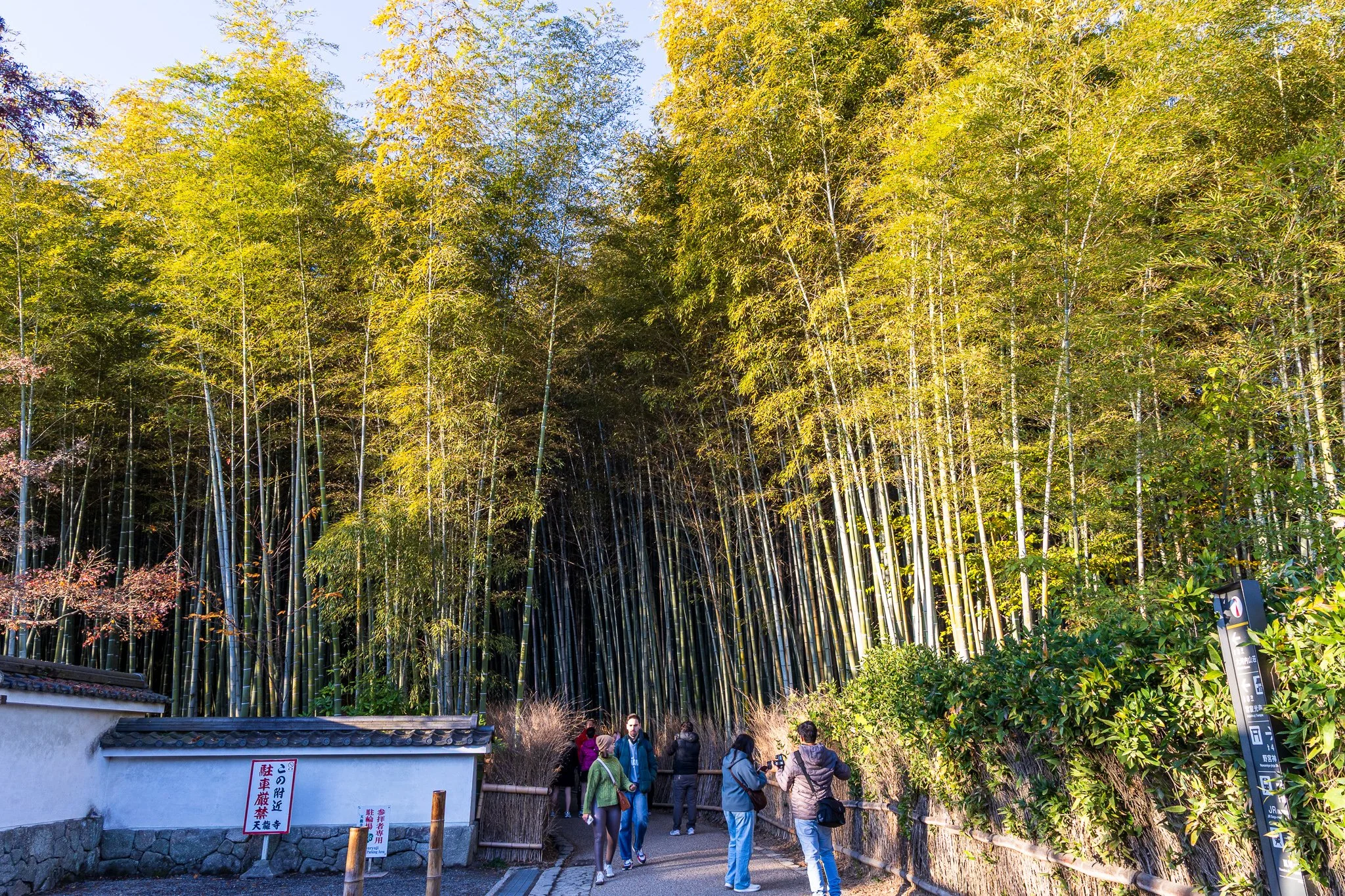 F19A3838_arashiyama-bamboo-forest.jpg