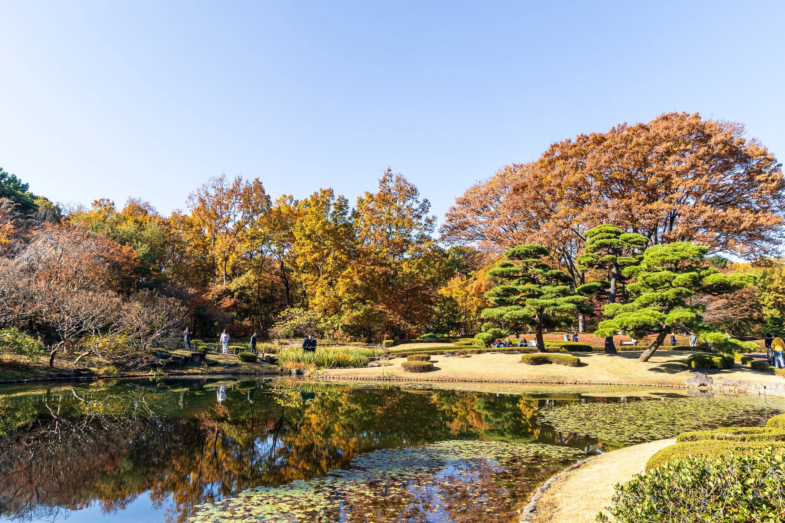 F19A1760_imperial-palace-east-gardens.jpg