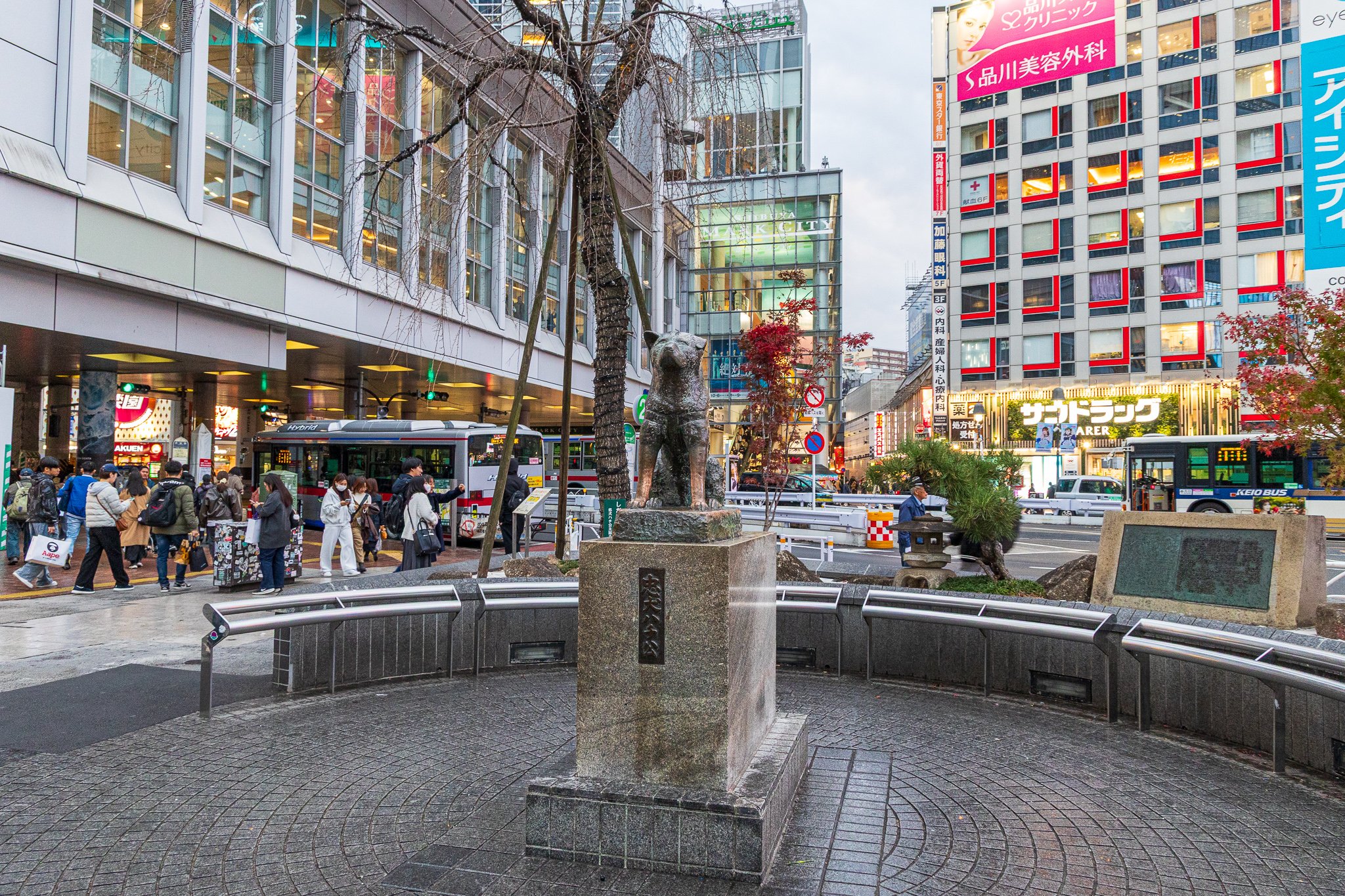 Hachiko Statue