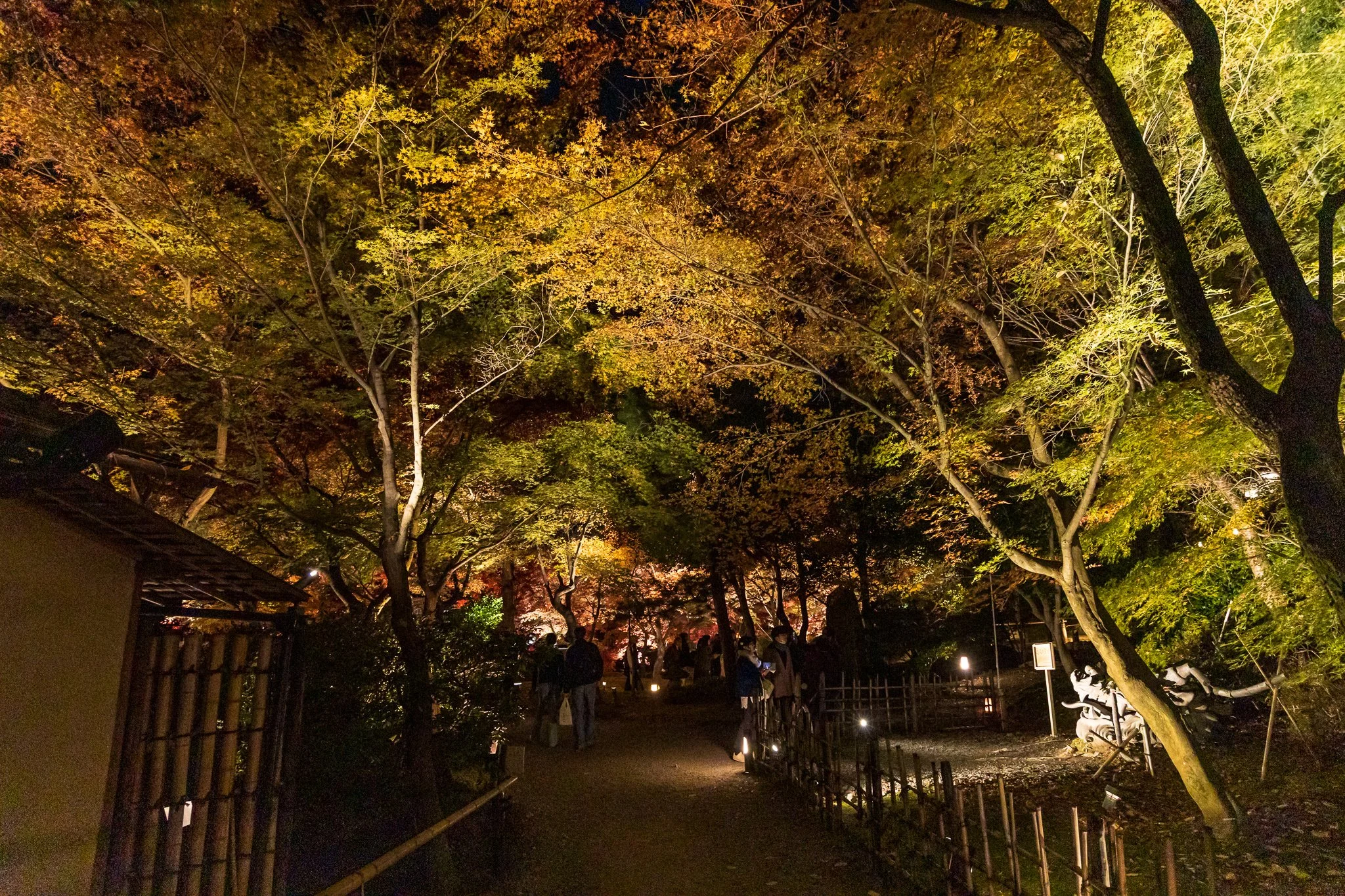F19A3334_kodai-ji.jpg