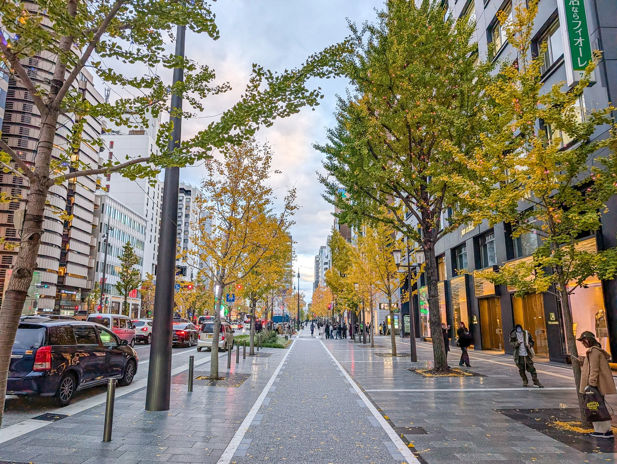 PXL_20251205_073050699_midosuji-avenue.jpg