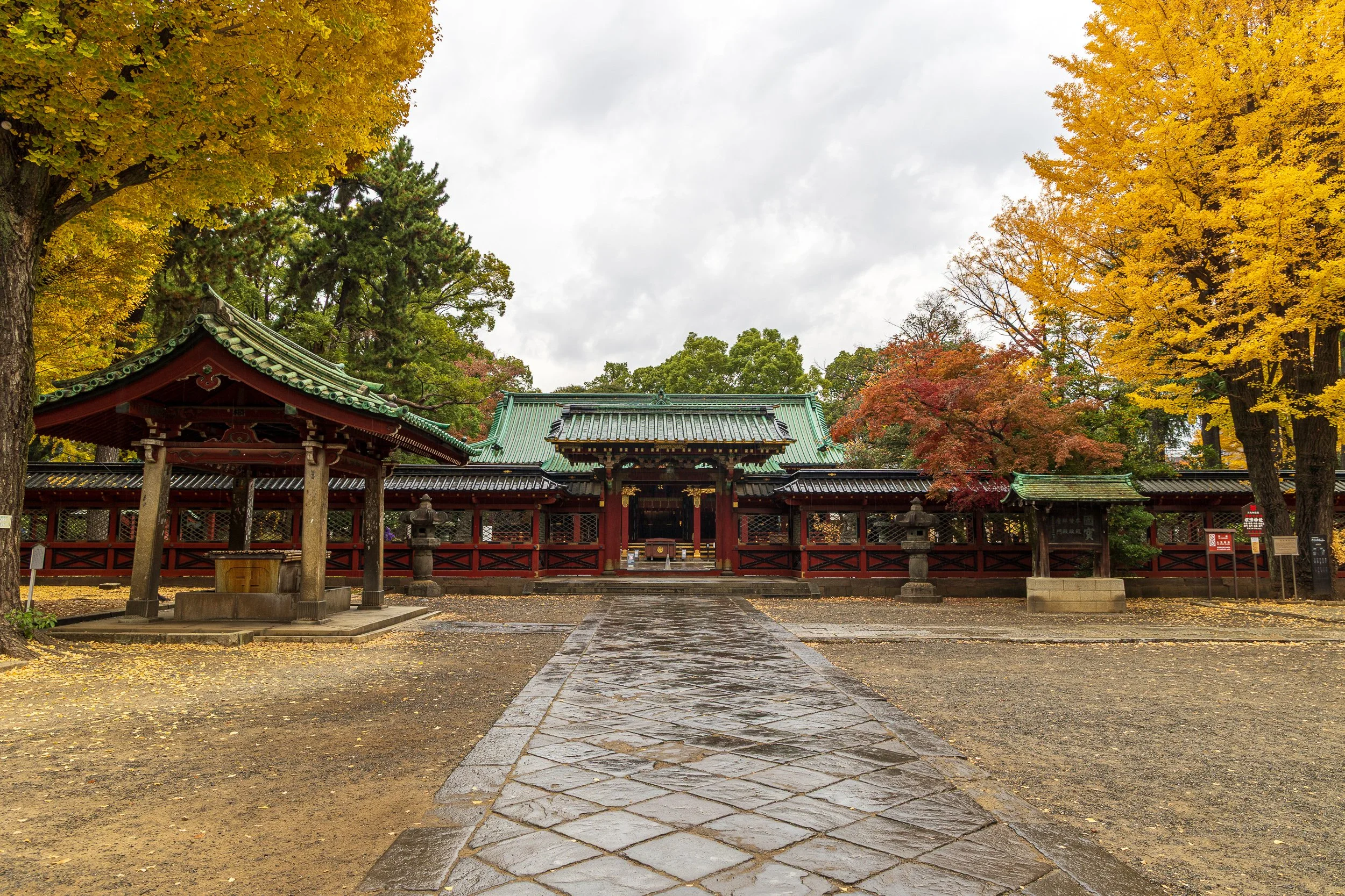 F19A1103_nezu-shrine.jpg