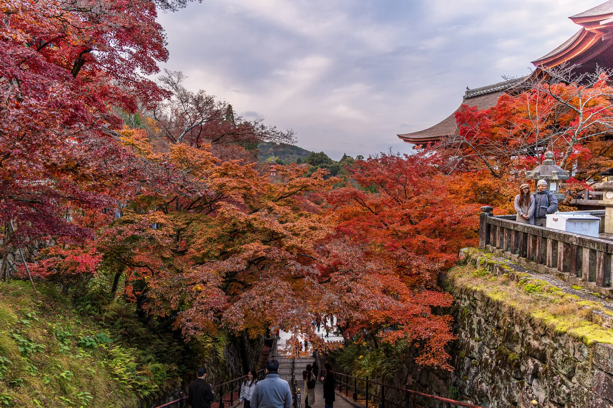 F19A4660_kiyomizu-dera.jpg