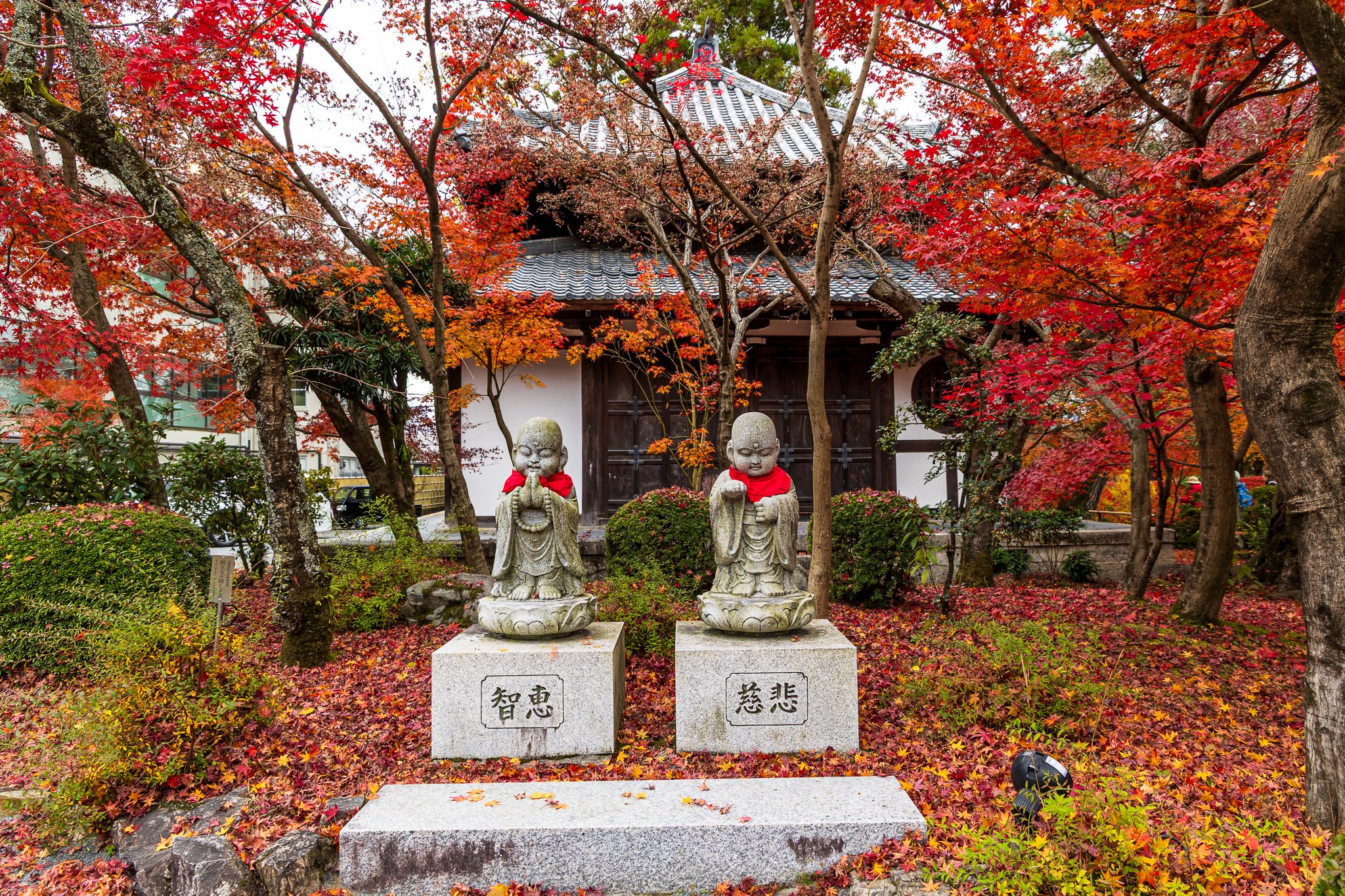 F19A4969_eikan-do.jpg
