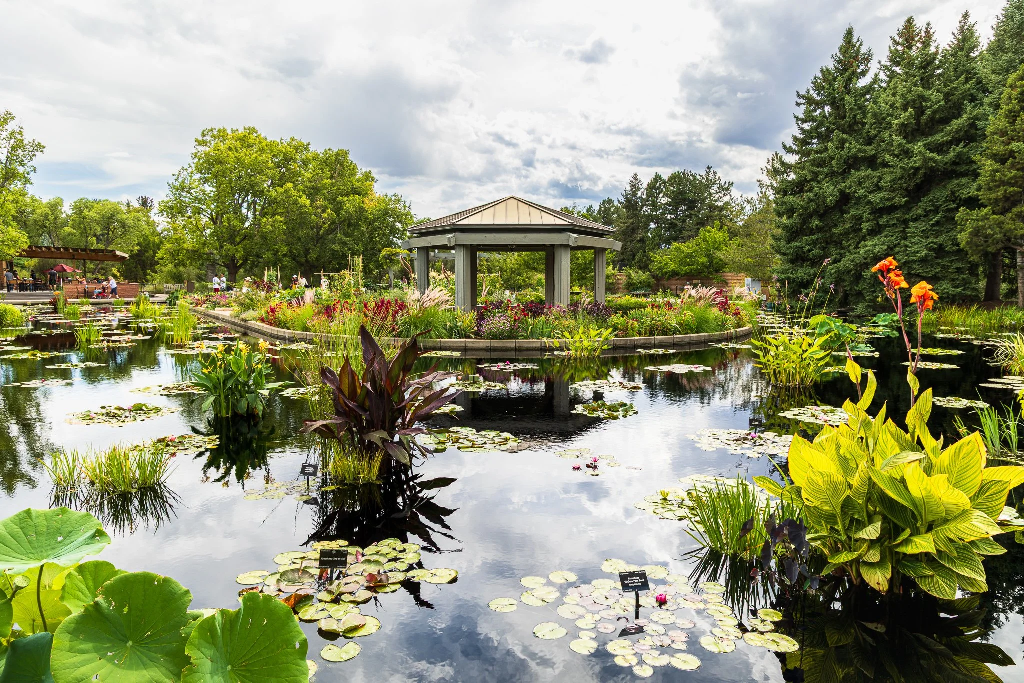 F19A9956_denver-botanic-gardens.jpg